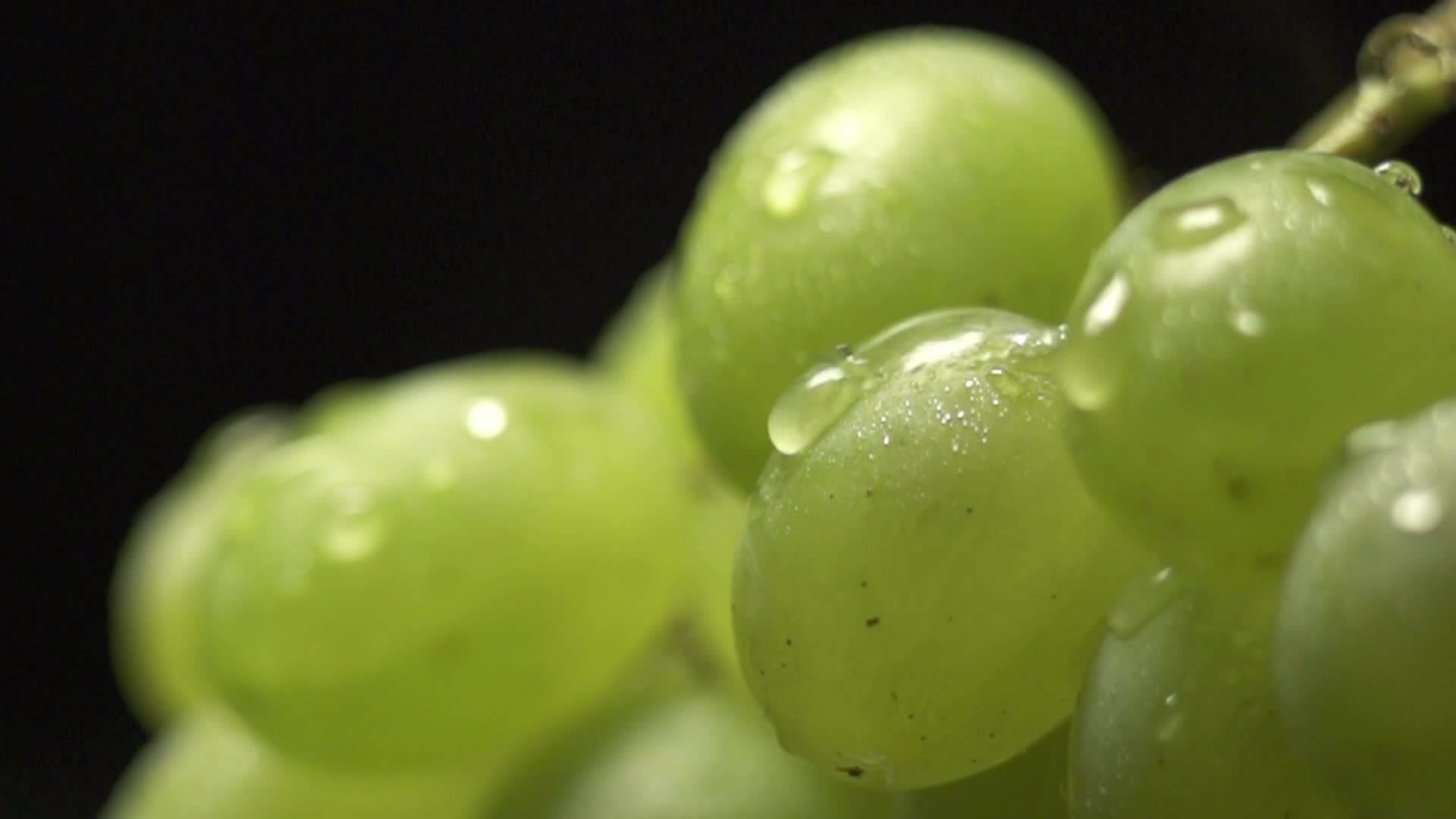 Bunch of green grapes with water drops ~ Clip #23195702