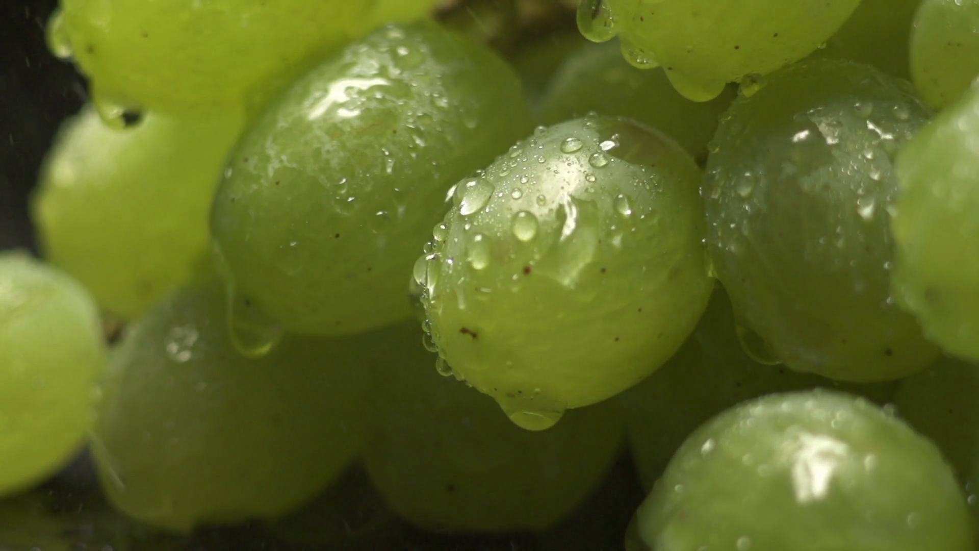 bunch of green grapes on a black background with water drops. HD ...