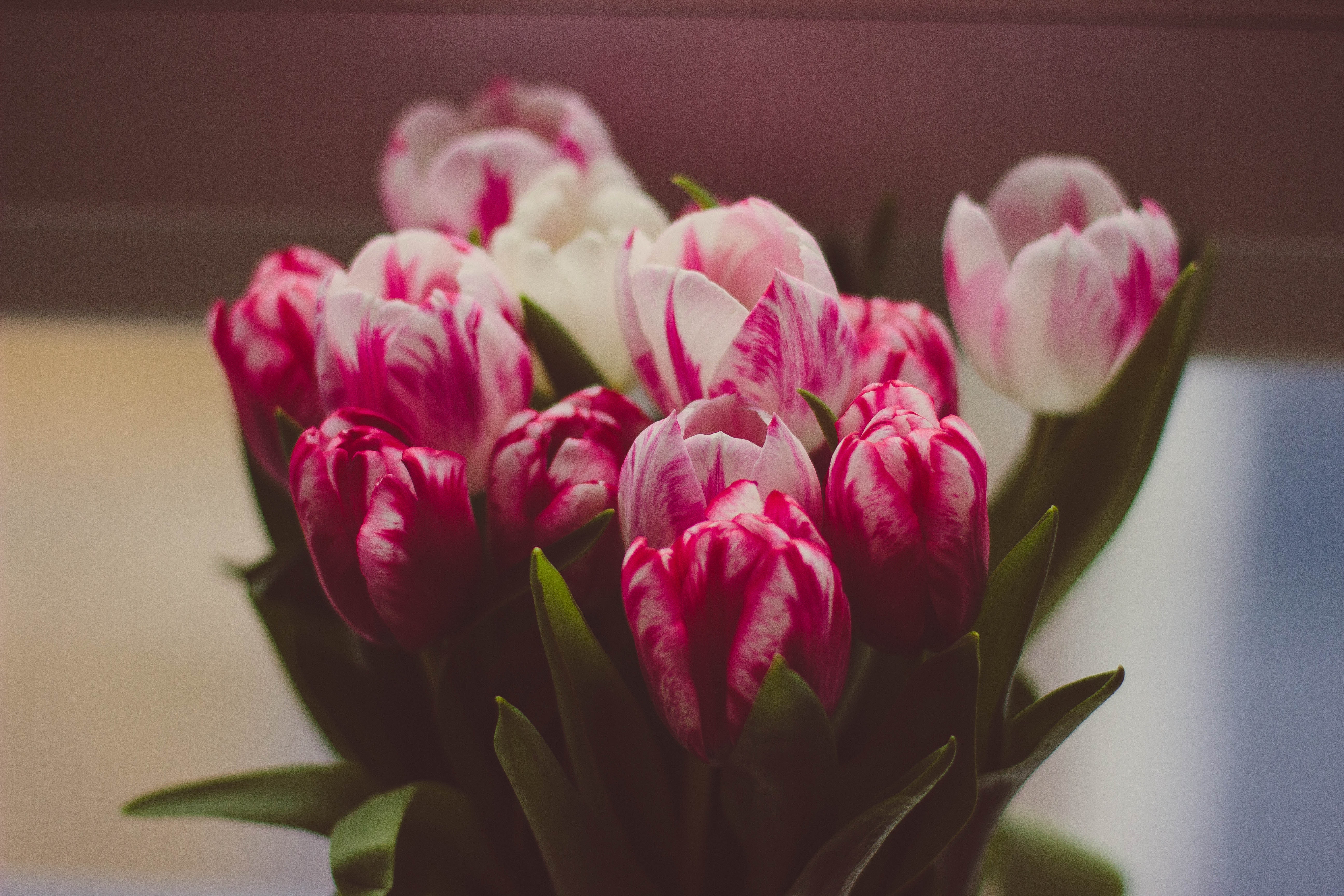 1000+ Beautiful Bunch Of Flowers Photos · Pexels · Free Stock Photos