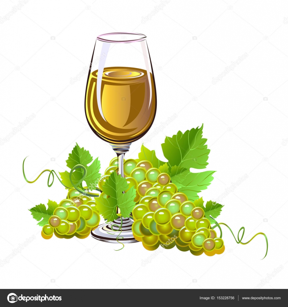 Glass of wine and a bunch of grapes — Stock Vector © Liana2012 ...