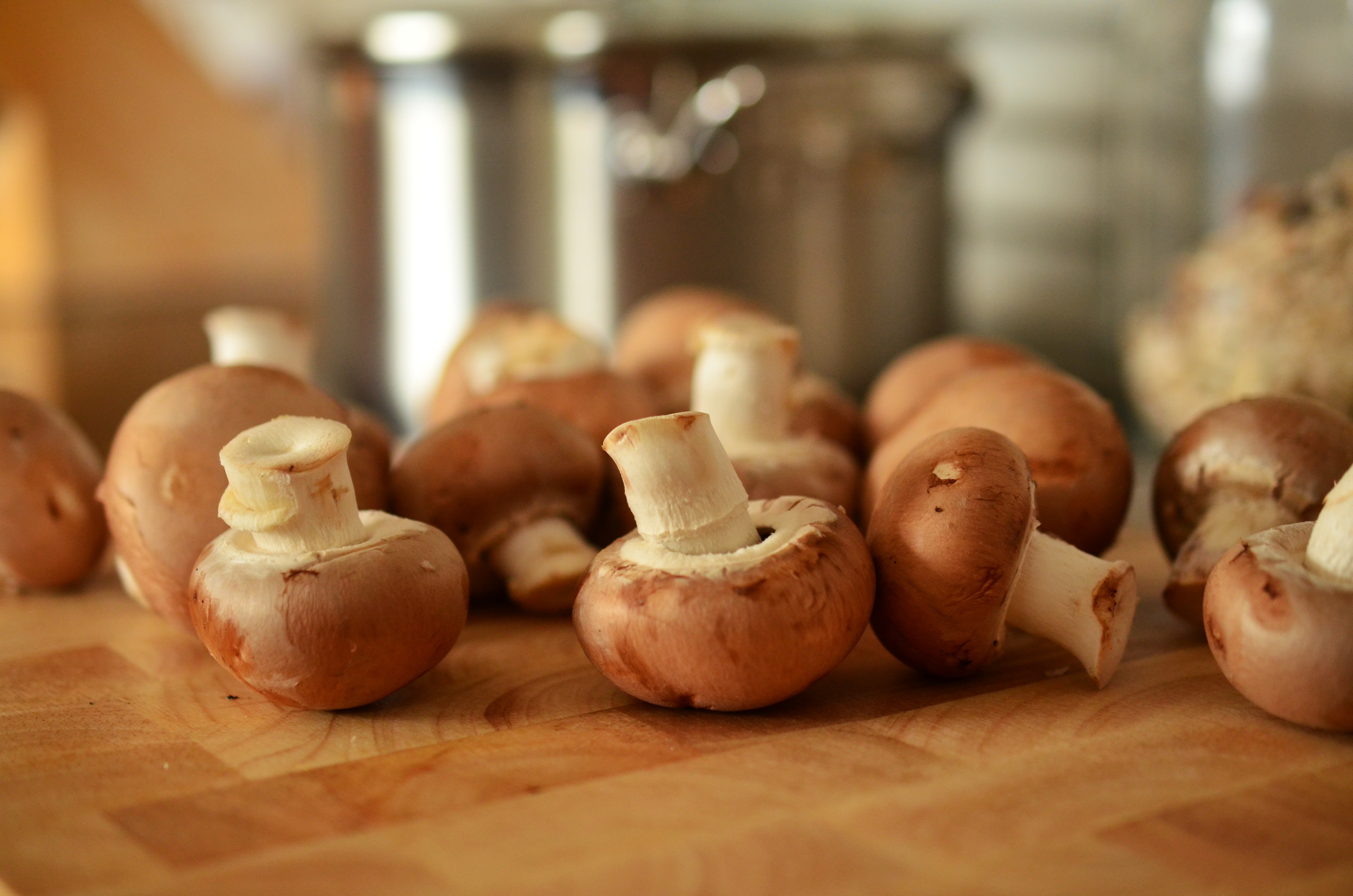 Bunch of mushrooms photo