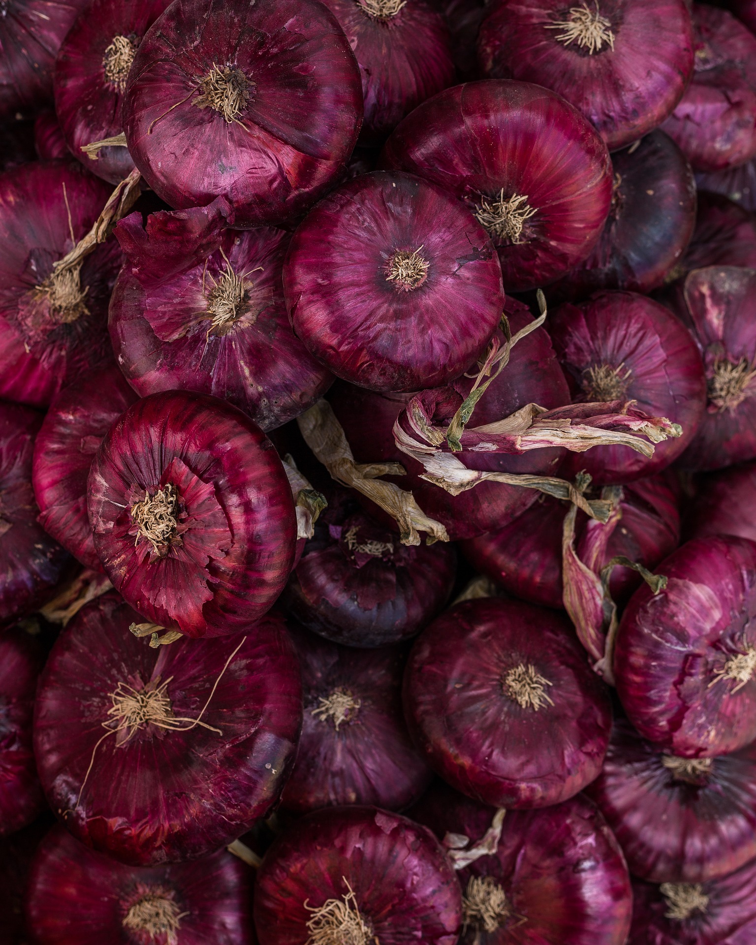 Bunch of Onion, Bunch, Food, Fresh, Nature, HQ Photo