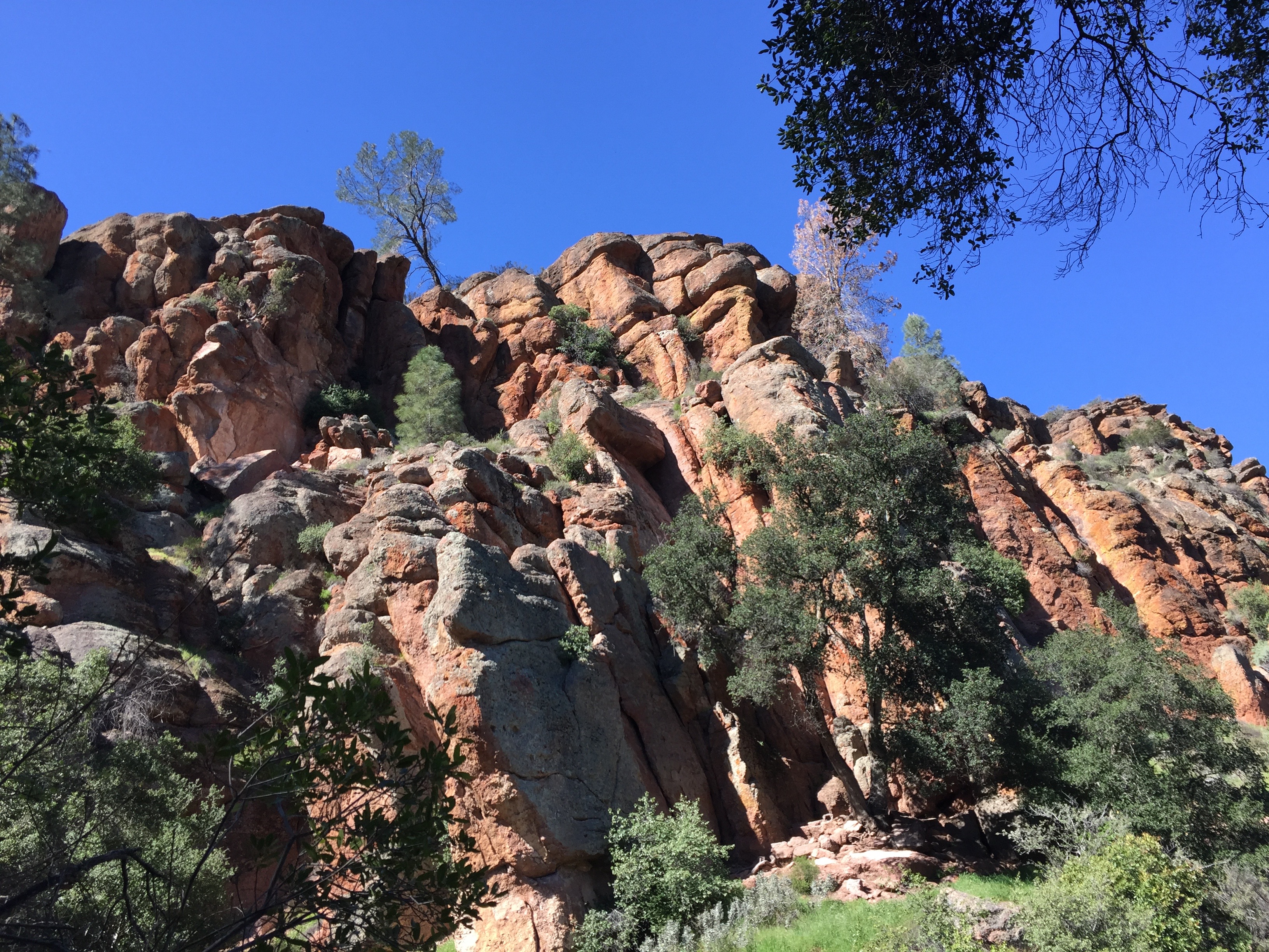 Pinnacles National Park (#28 out of 59) and the Florescent-Tinted ...