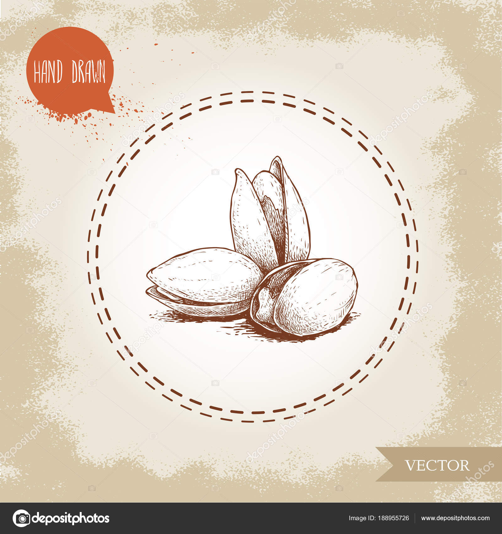 Pistachios Bunch Hand Drawn Sketch Style Illustration Open Fried ...