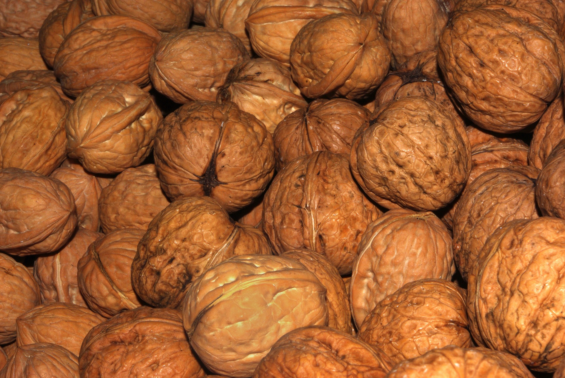 Bunch of walnuts photo