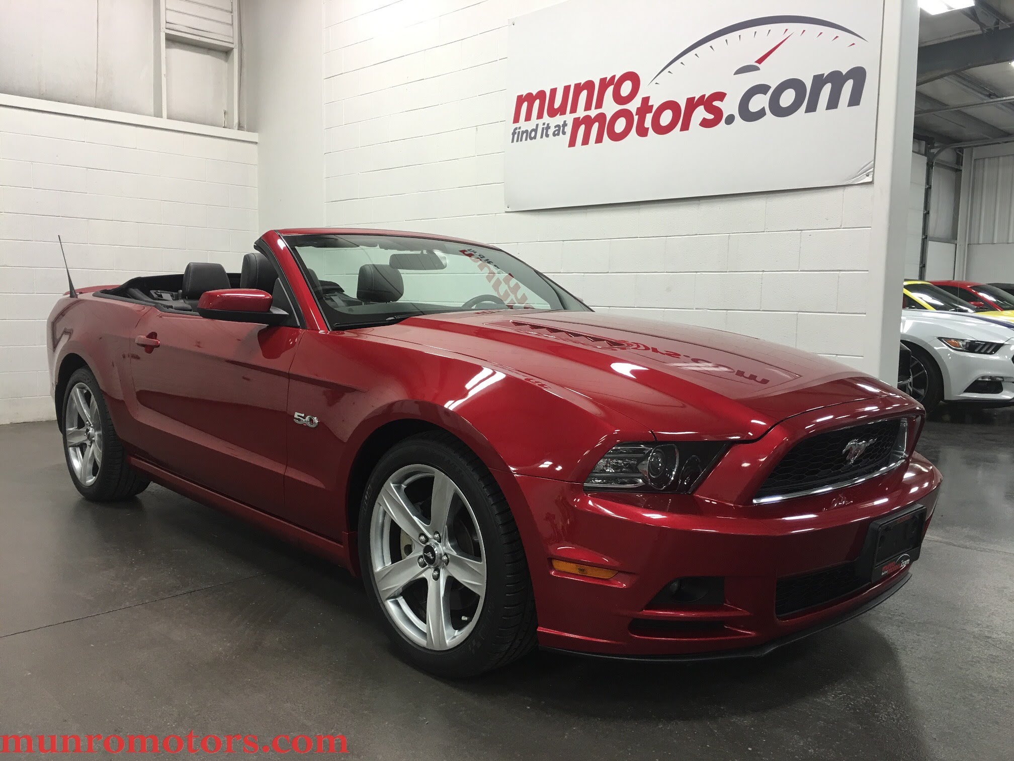 Burgundy ford mustang photo