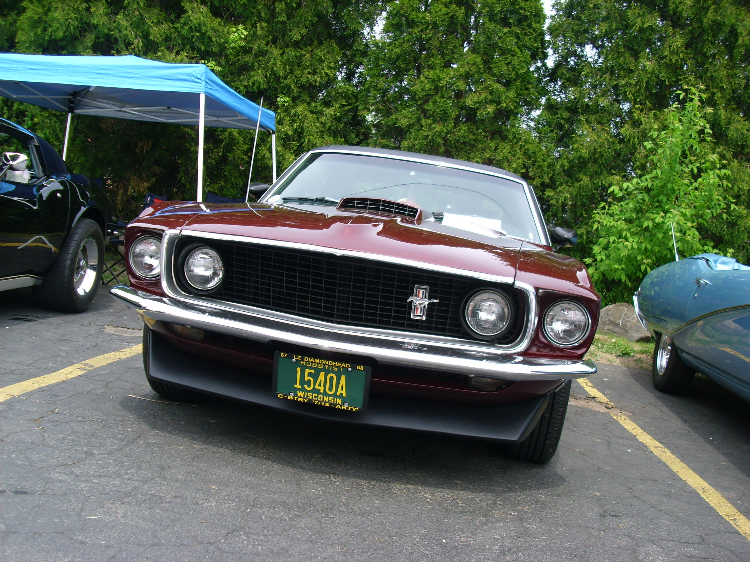 Burgundy ford mustang photo