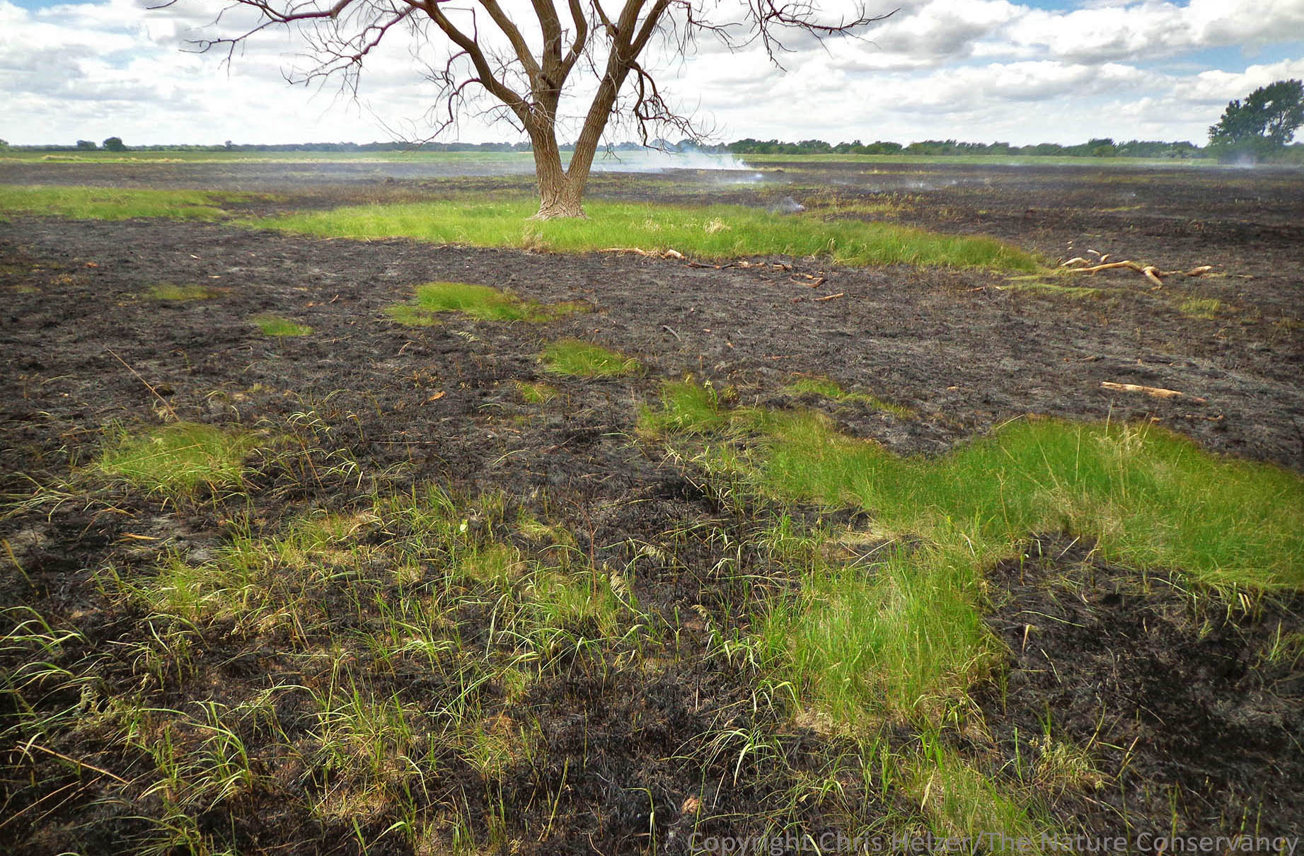 What's the Best Time to Burn? | The Prairie Ecologist
