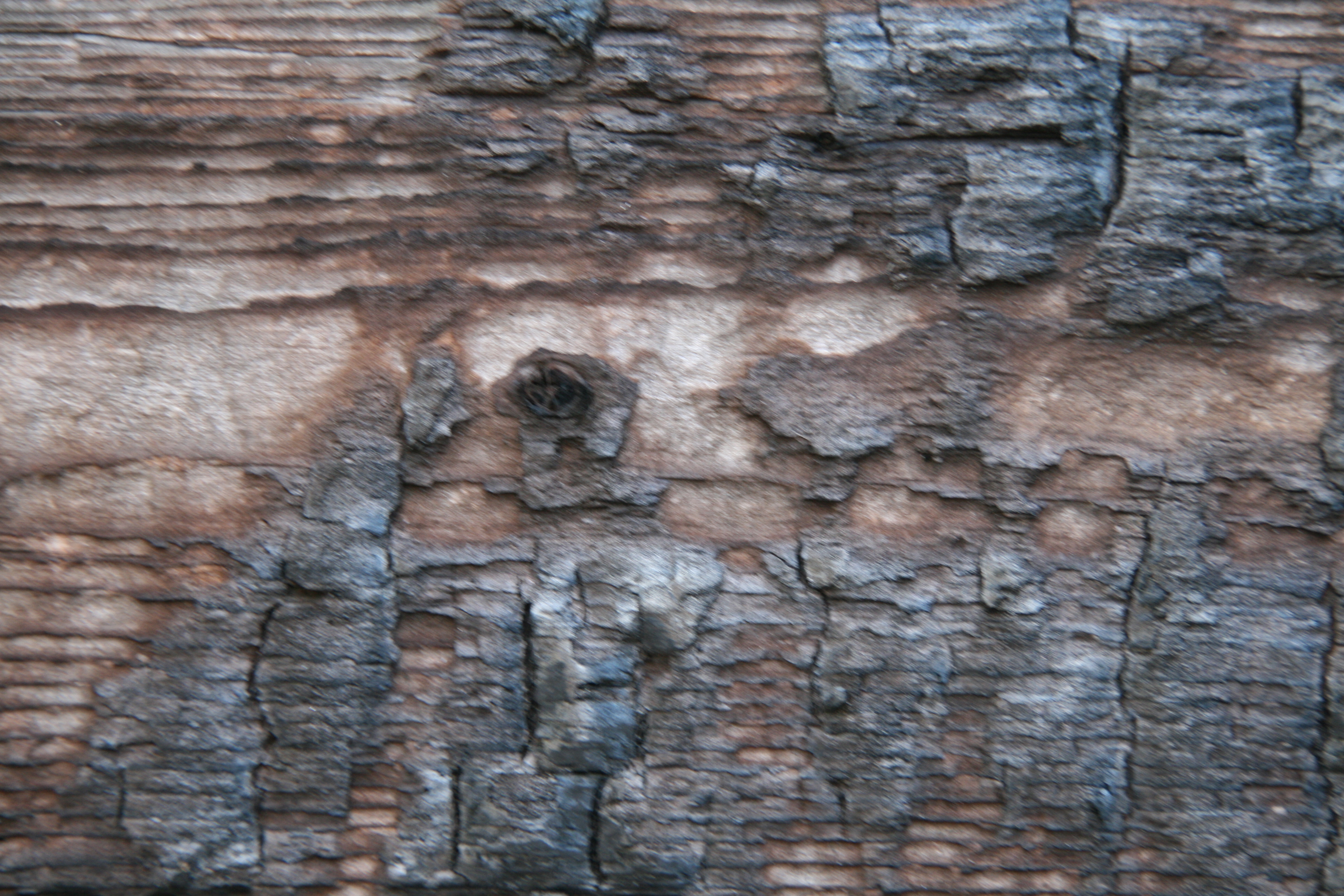 High Quality Burned Wood Texture - Burned Wood Textures | High ...