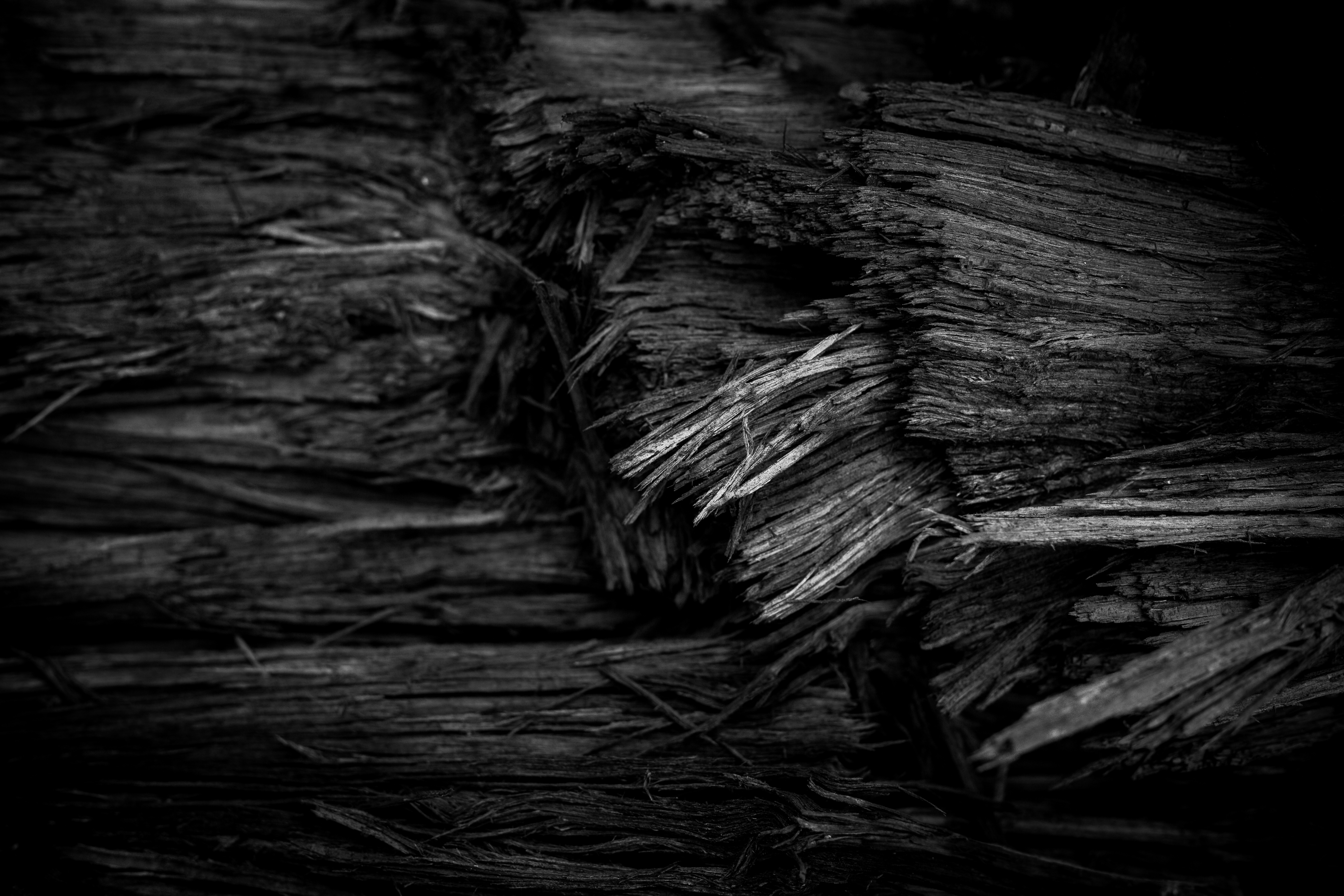Burned wood texture photo