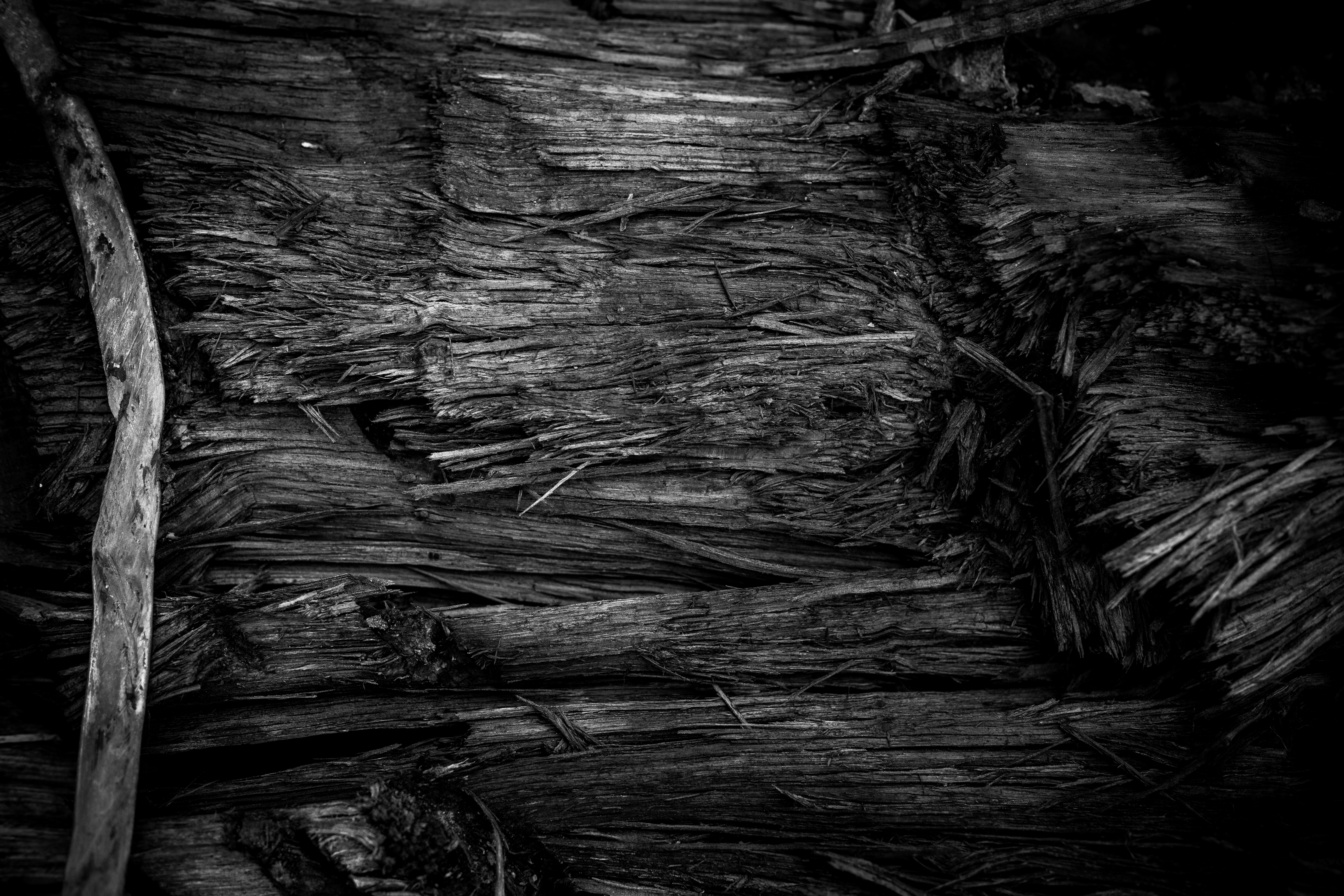Burned wood texture photo