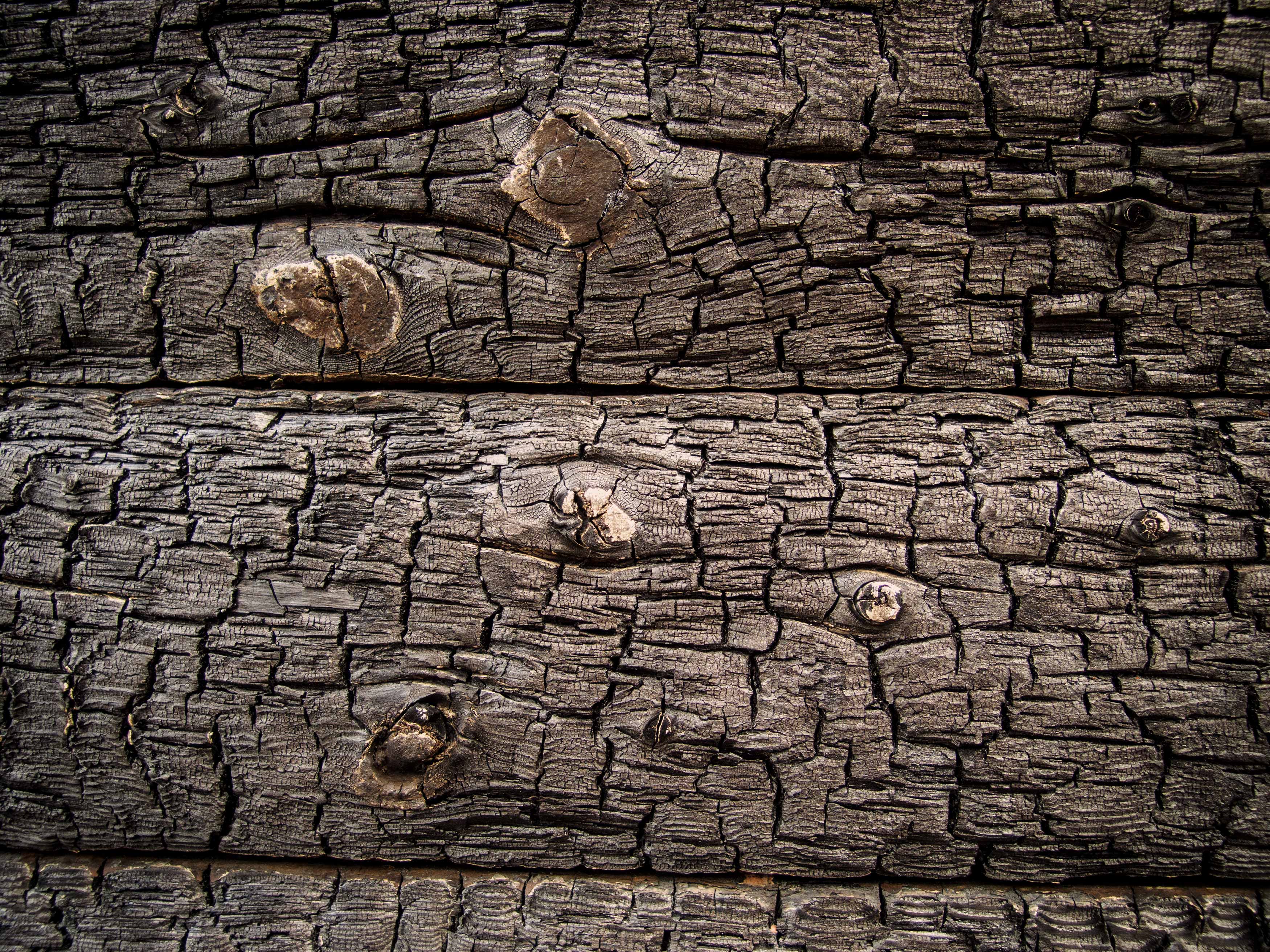 Free Image: Burnt wood texture | Libreshot Public Domain Photos