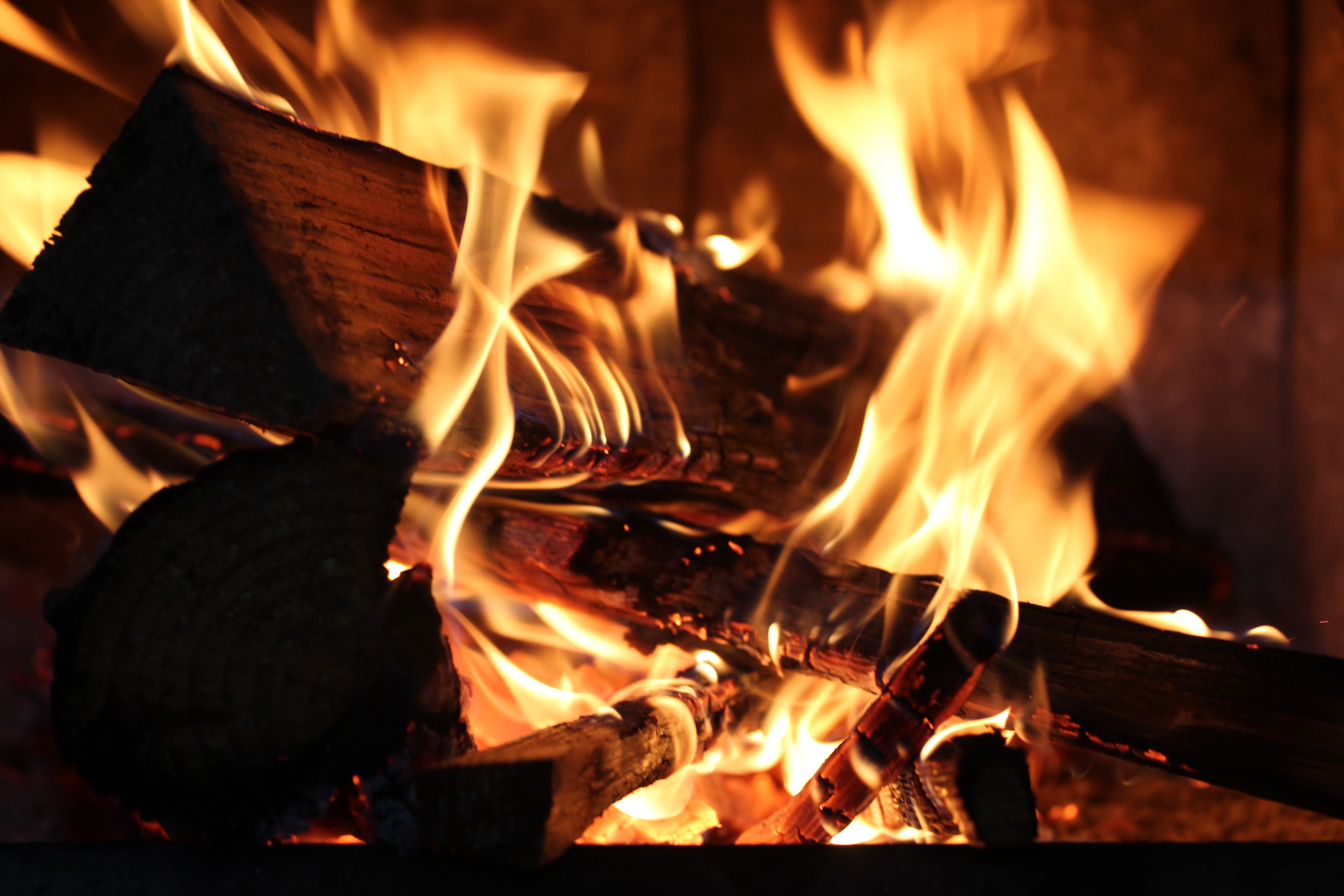 Free stock photo of bonfire, burning, campfire