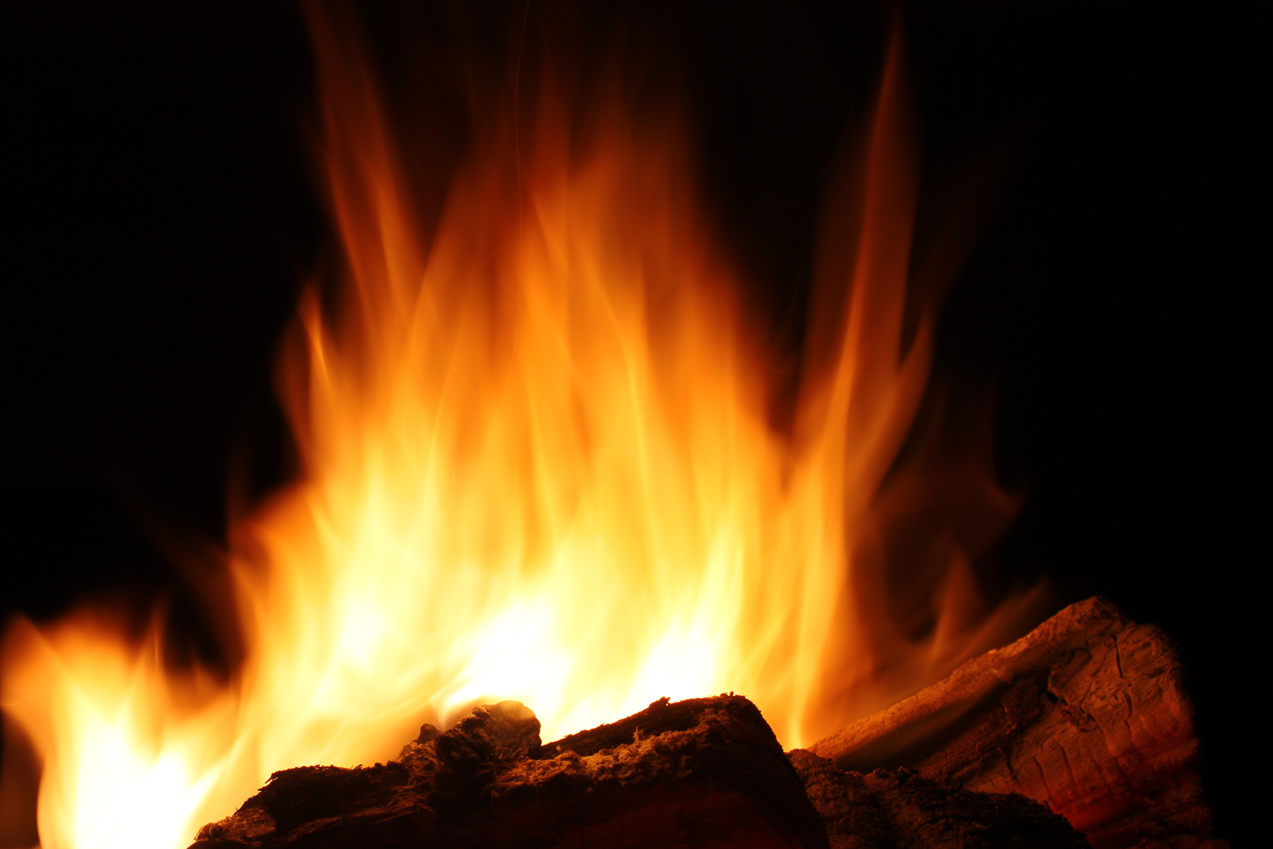 Burning campfire photo