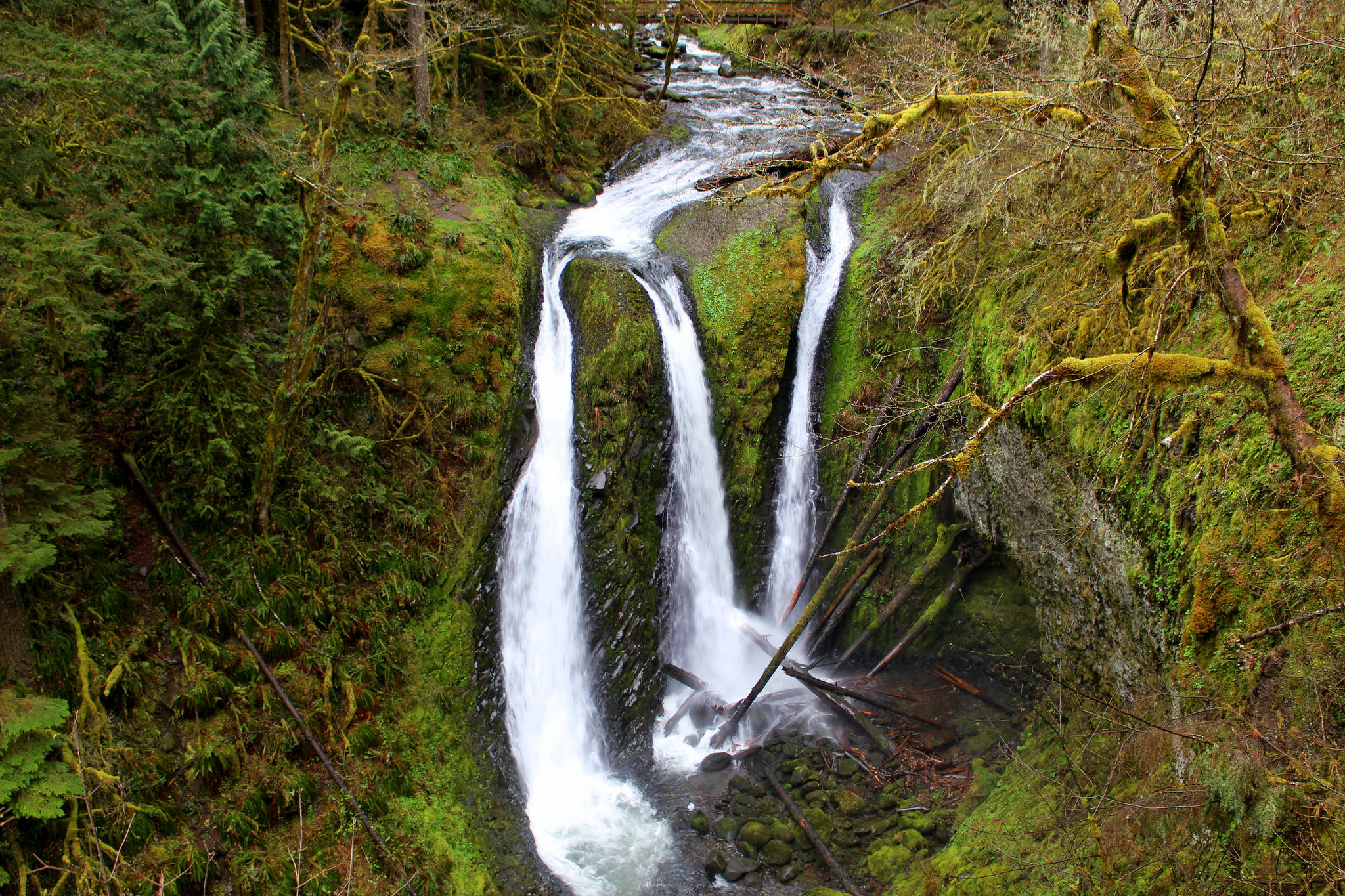 A waterfall or two - Oregon Hikers