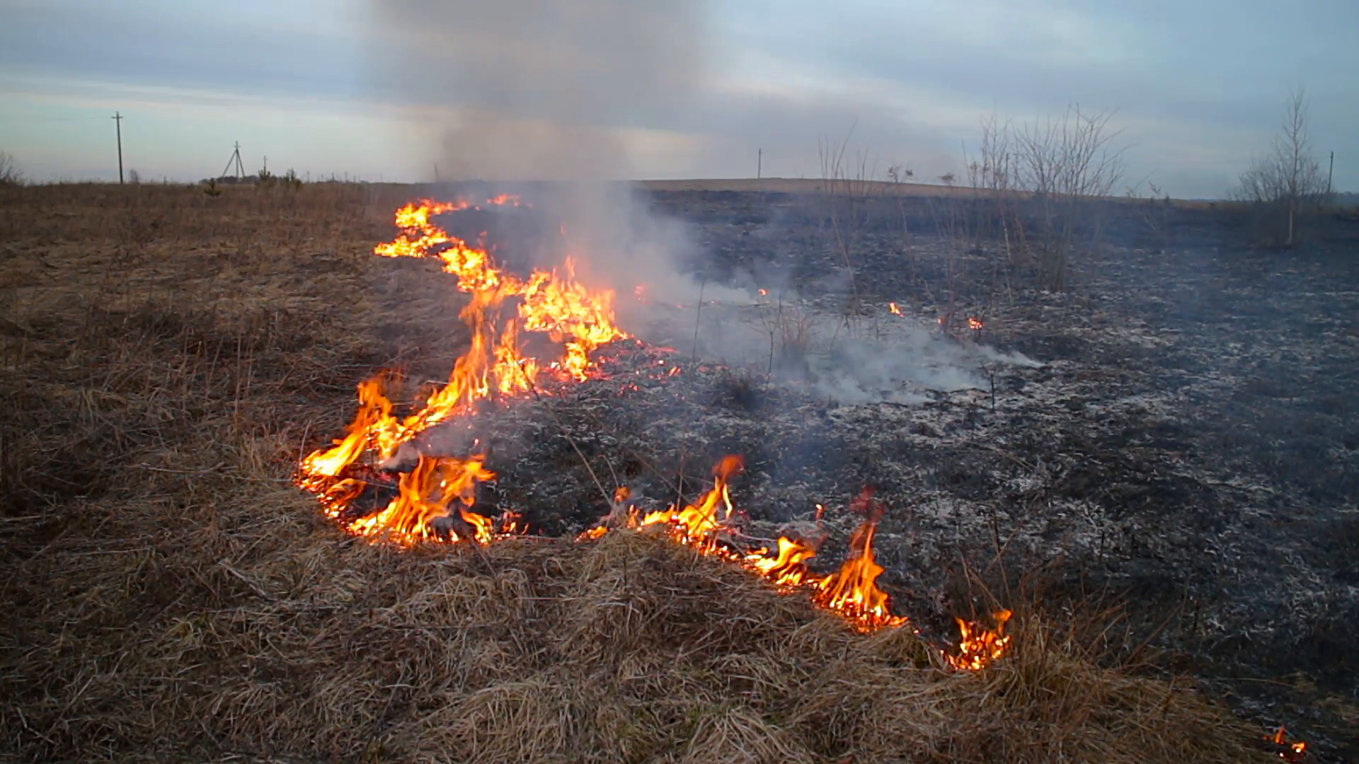 Burning Dry Grass. Natural disasters Stock Video Footage - Videoblocks