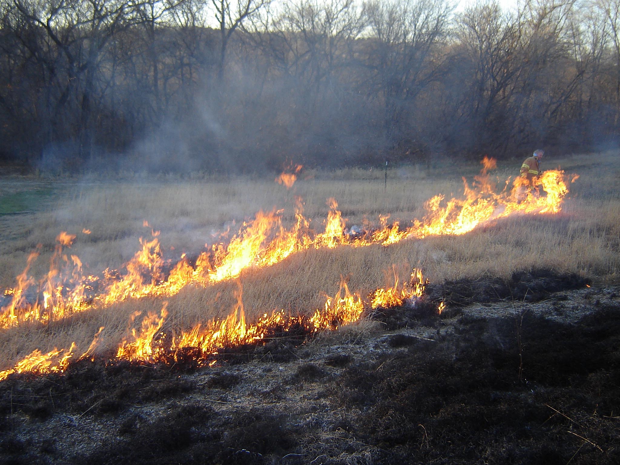 Burning Native Grass