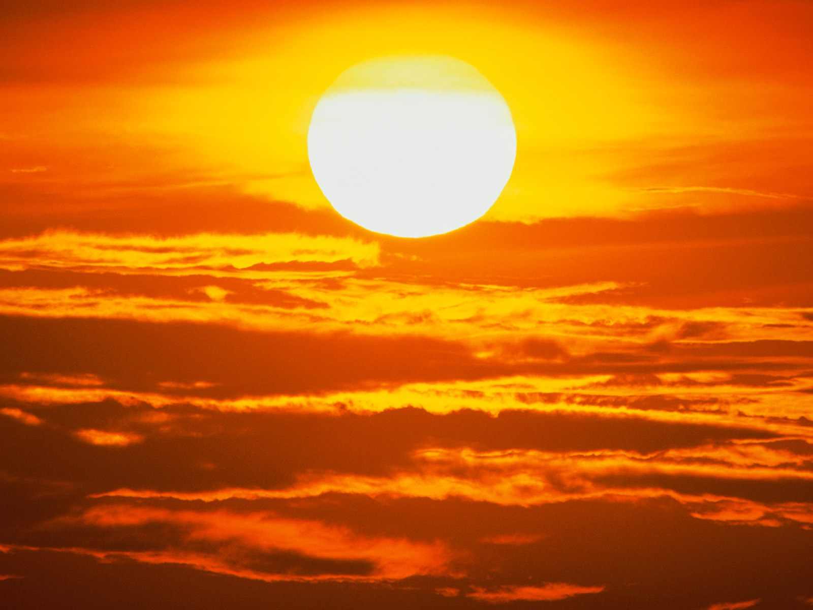 Burning Hot Sun – The Lintonian