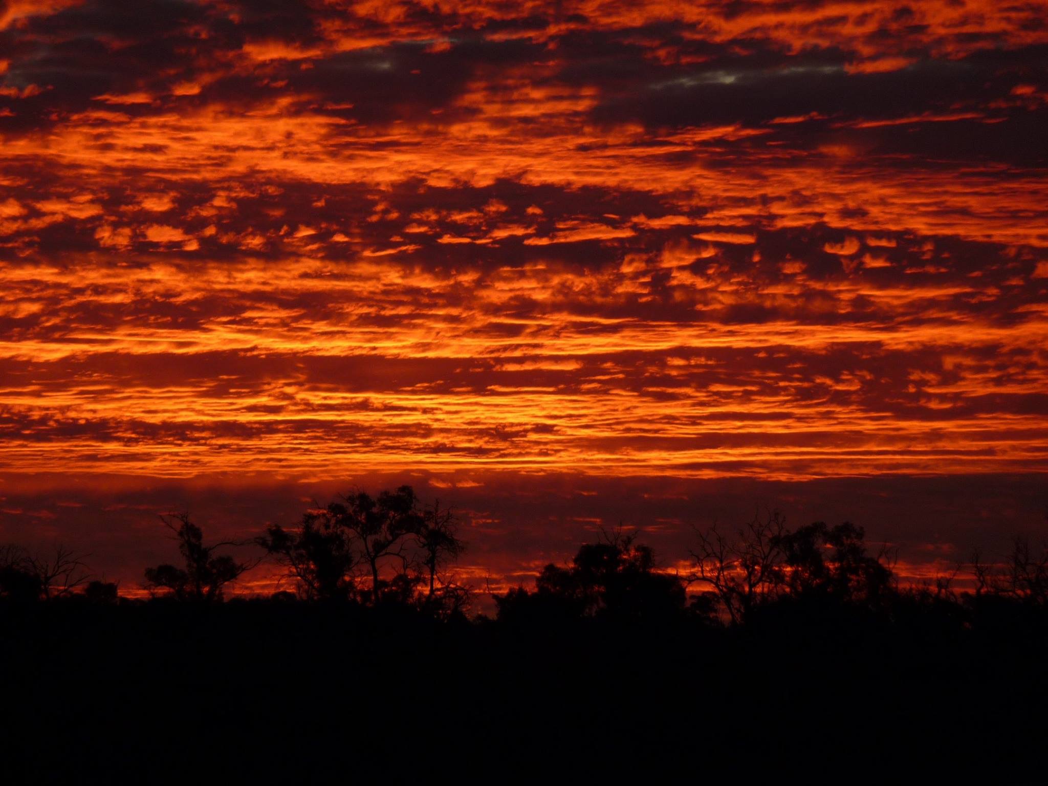 Burning skies over the Hay Plains – Faran Silverton