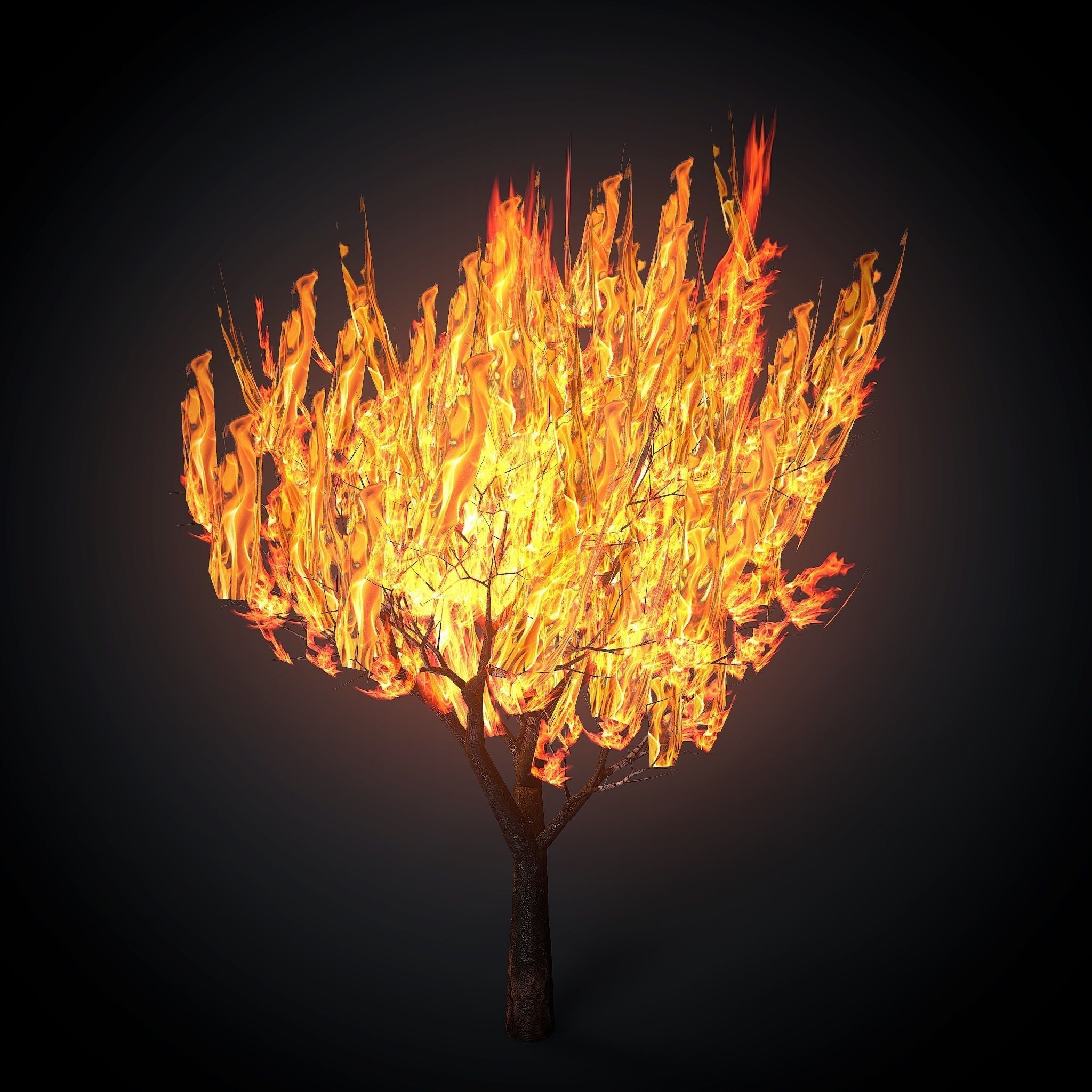 3D asset Burning tree mid | CGTrader