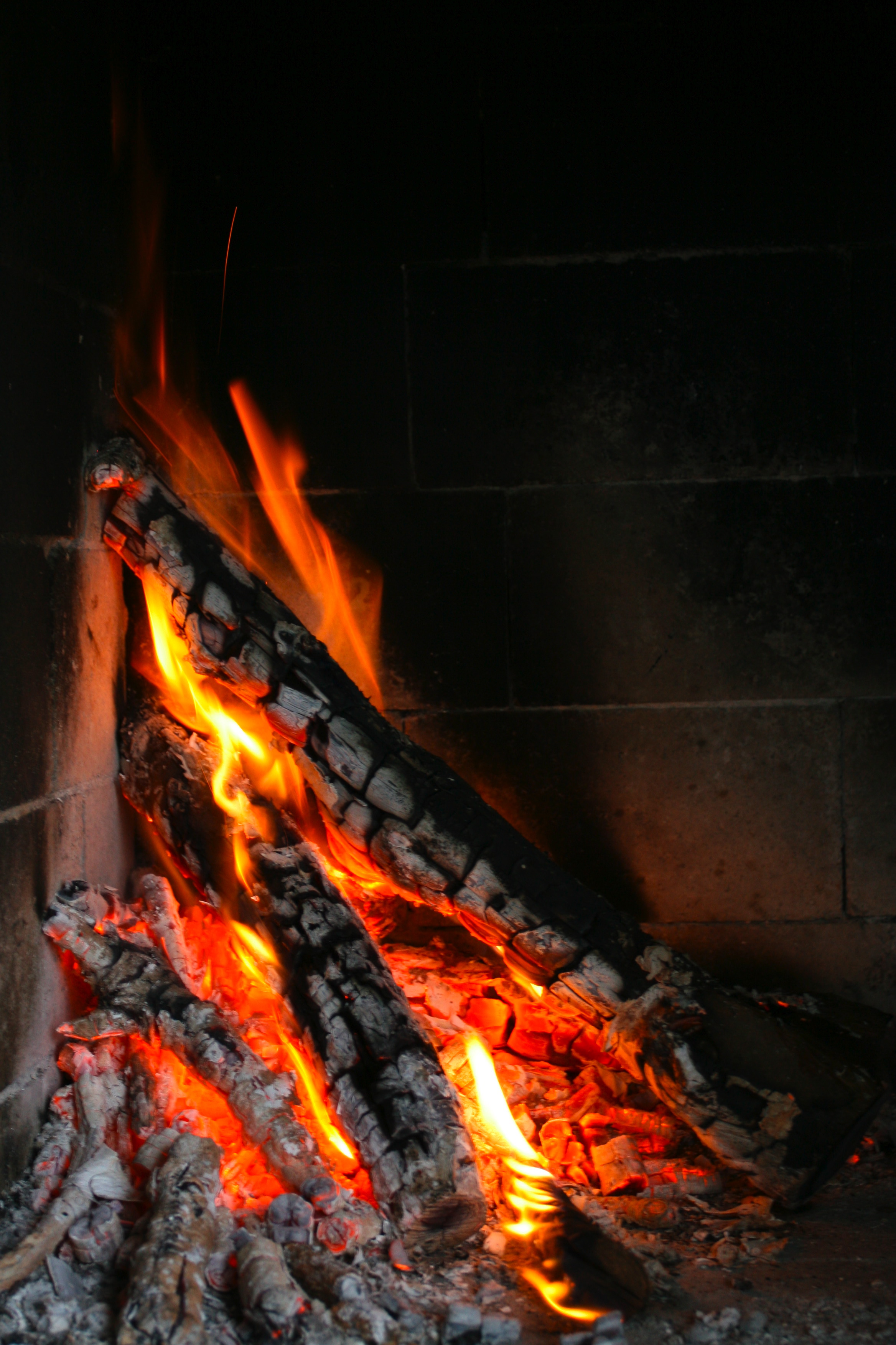 Burning Tree, Ashes, Bspo06, Burning, Fireplace, HQ Photo