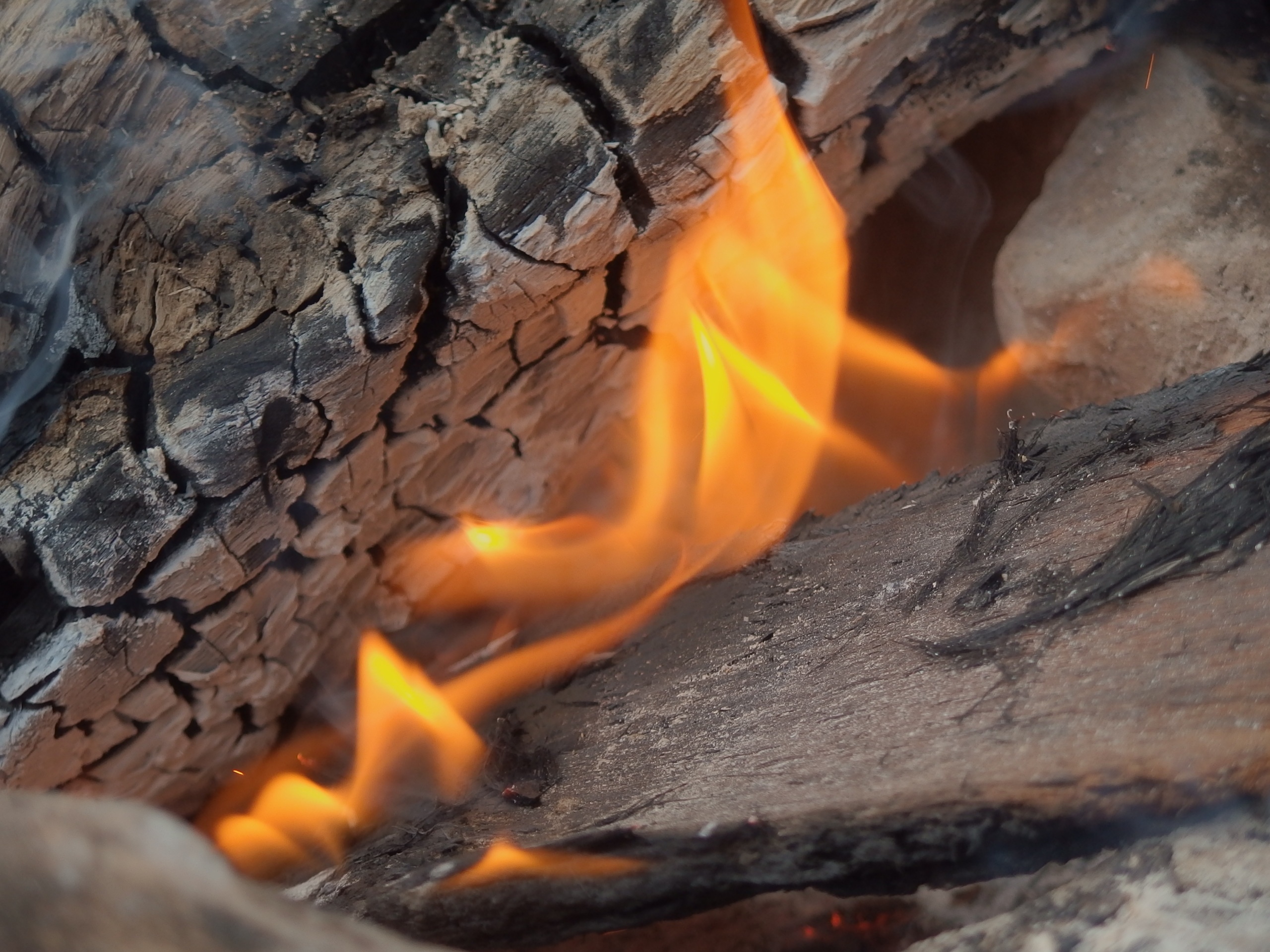 Burning wood photo