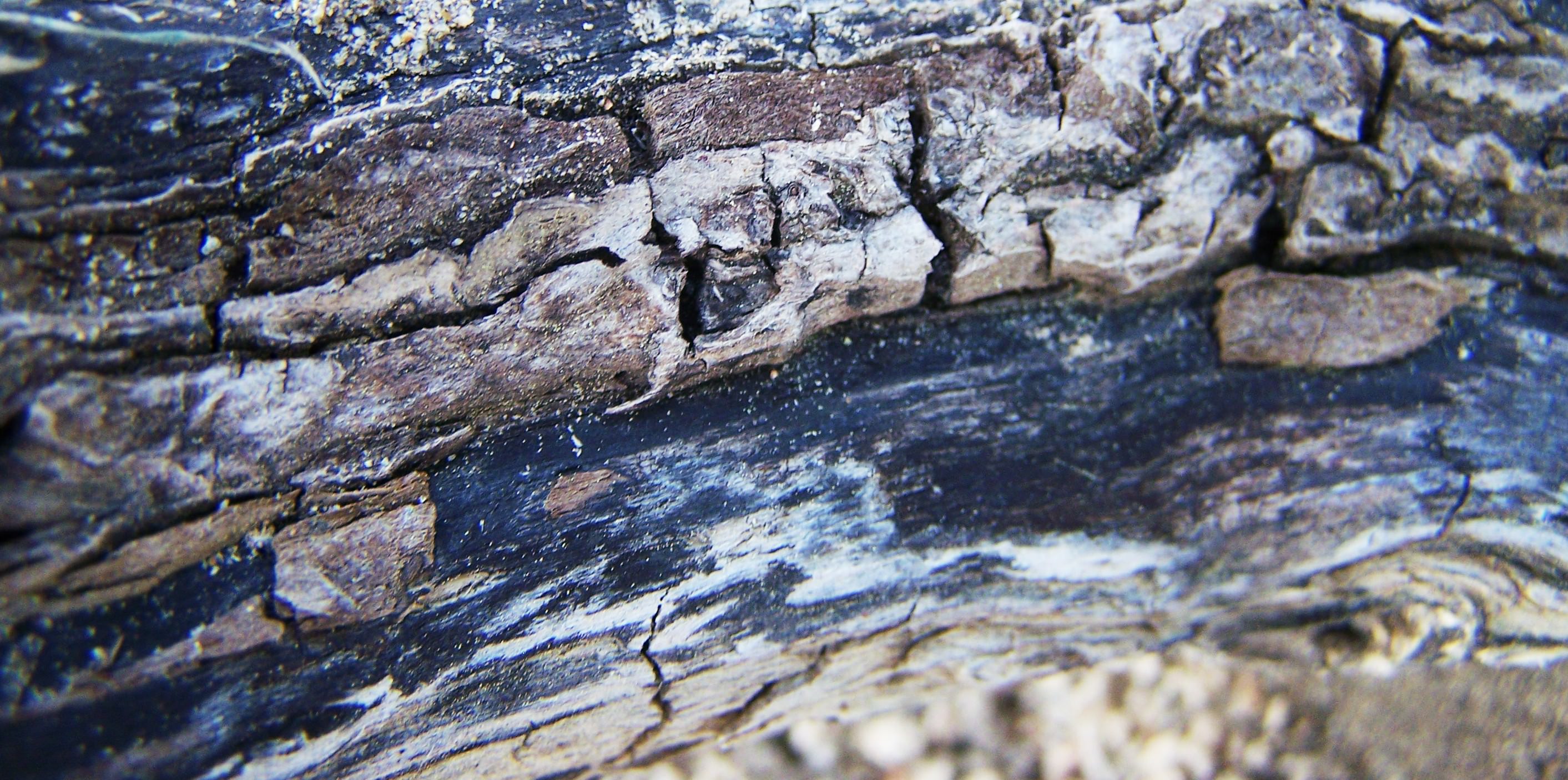Burnt log - Album on Imgur