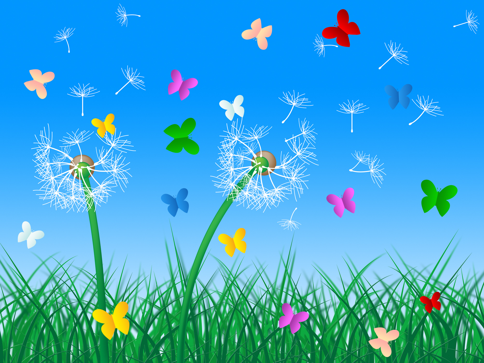 Butterflies sky means dandelion hair and butterfly photo