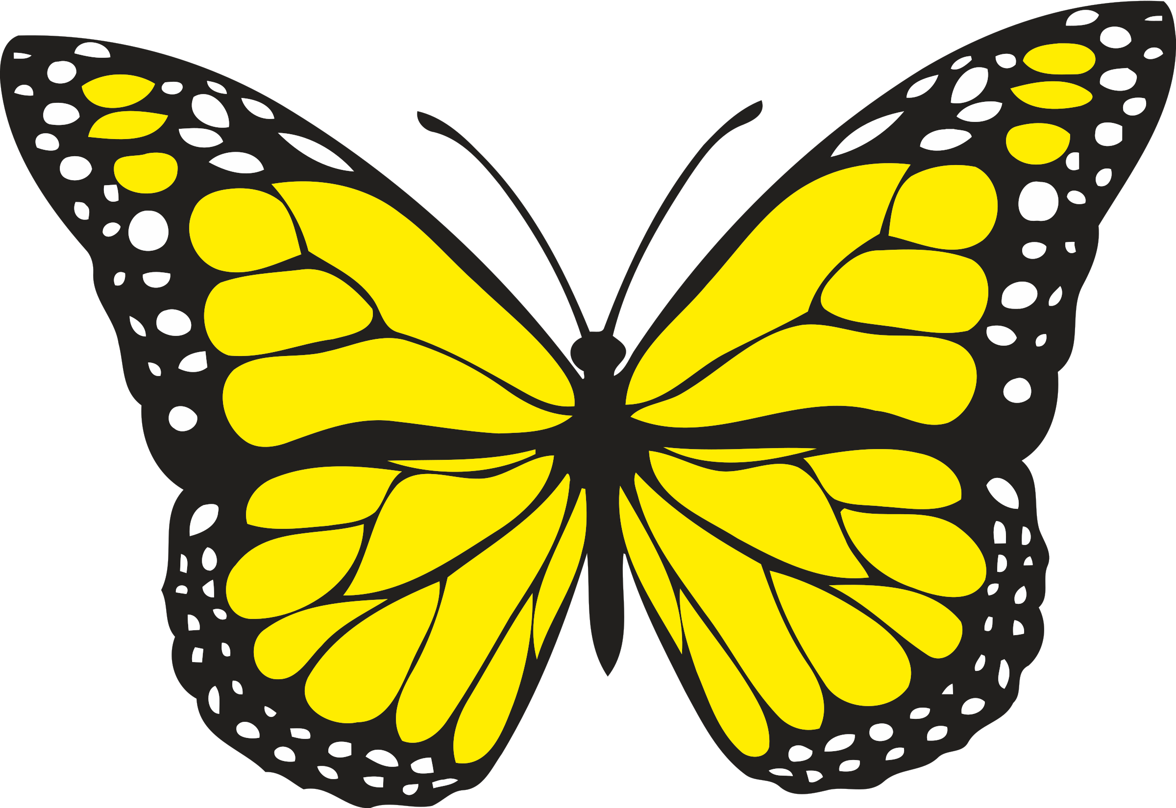 Butterfly 1 (colour) Icons PNG - Free PNG and Icons Downloads
