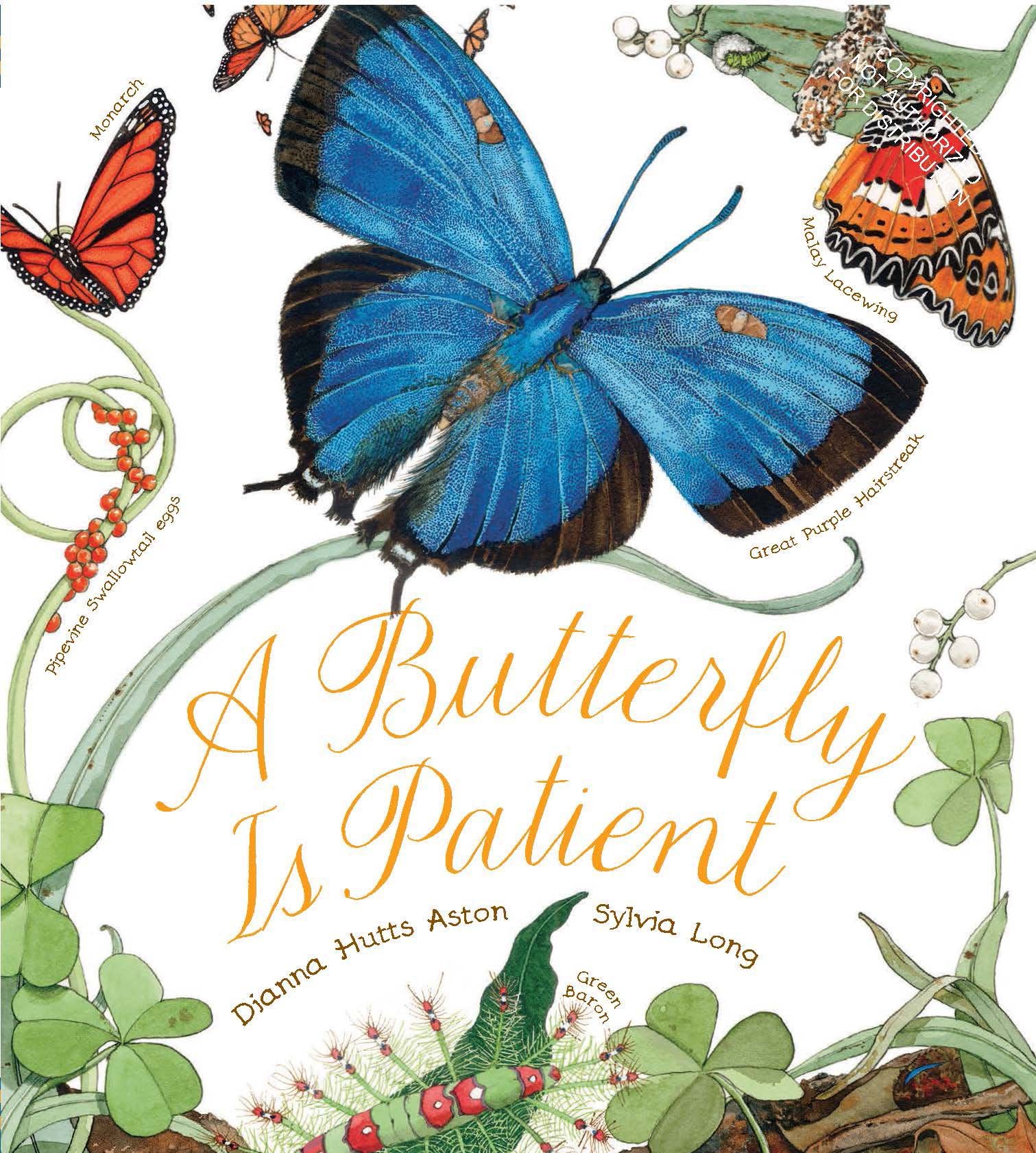 A Butterfly Is Patient: Dianna Aston, Sylvia Long: 9781452141244 ...