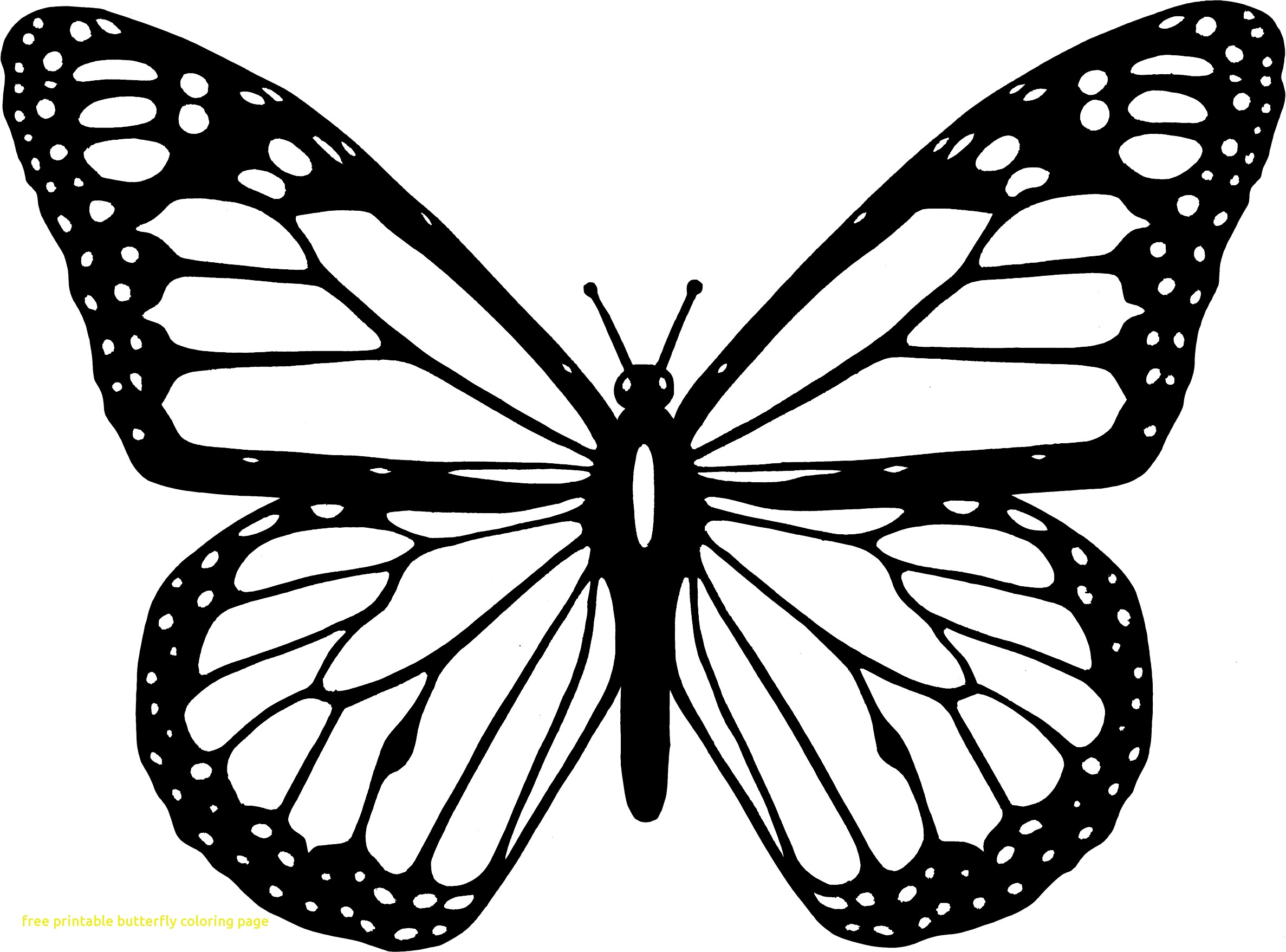 New Colouring Pages Of Butterfly Easily Colori #21586 - Unknown ...