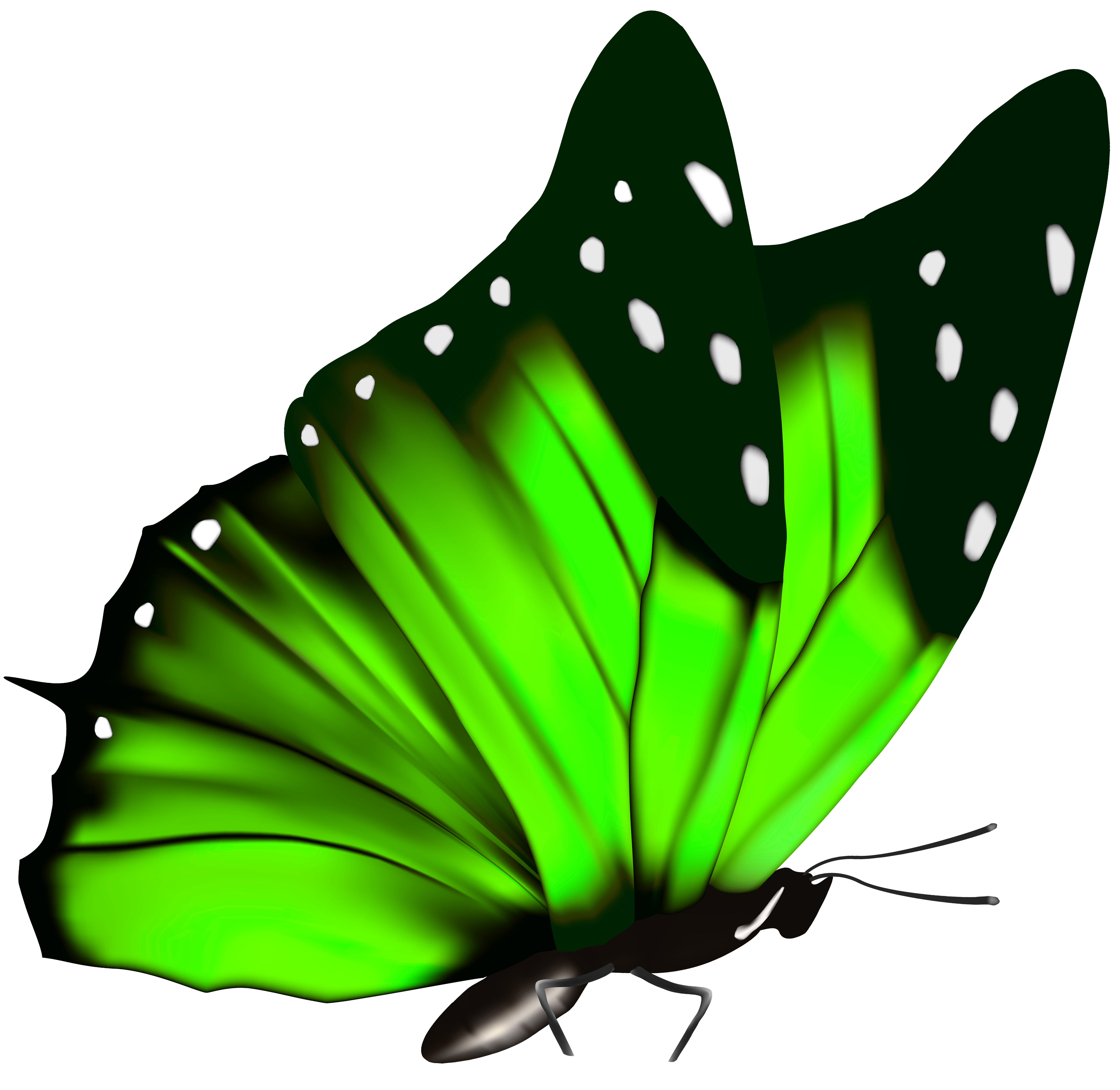 Green Butterfly PNG Clipart Image | Gallery Yopriceville - High ...