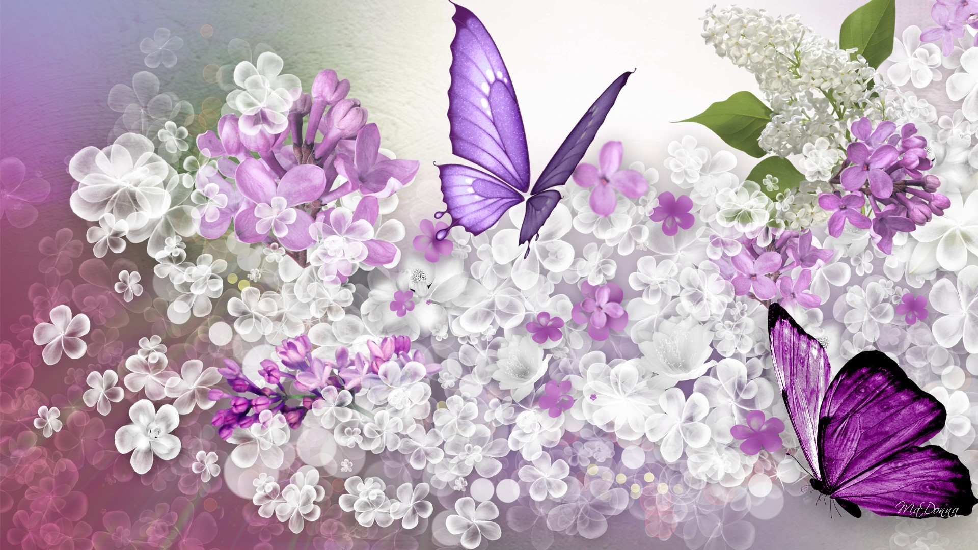 Flower: Lilac Predicition Purple Scatter Spring White Flowers ...