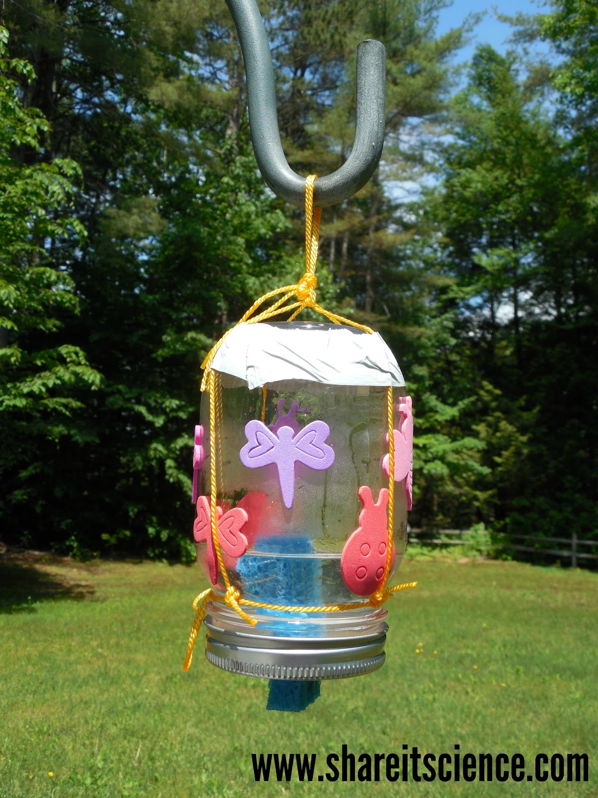 Share it! Science : The Great Backyard Butterfly Experiment!