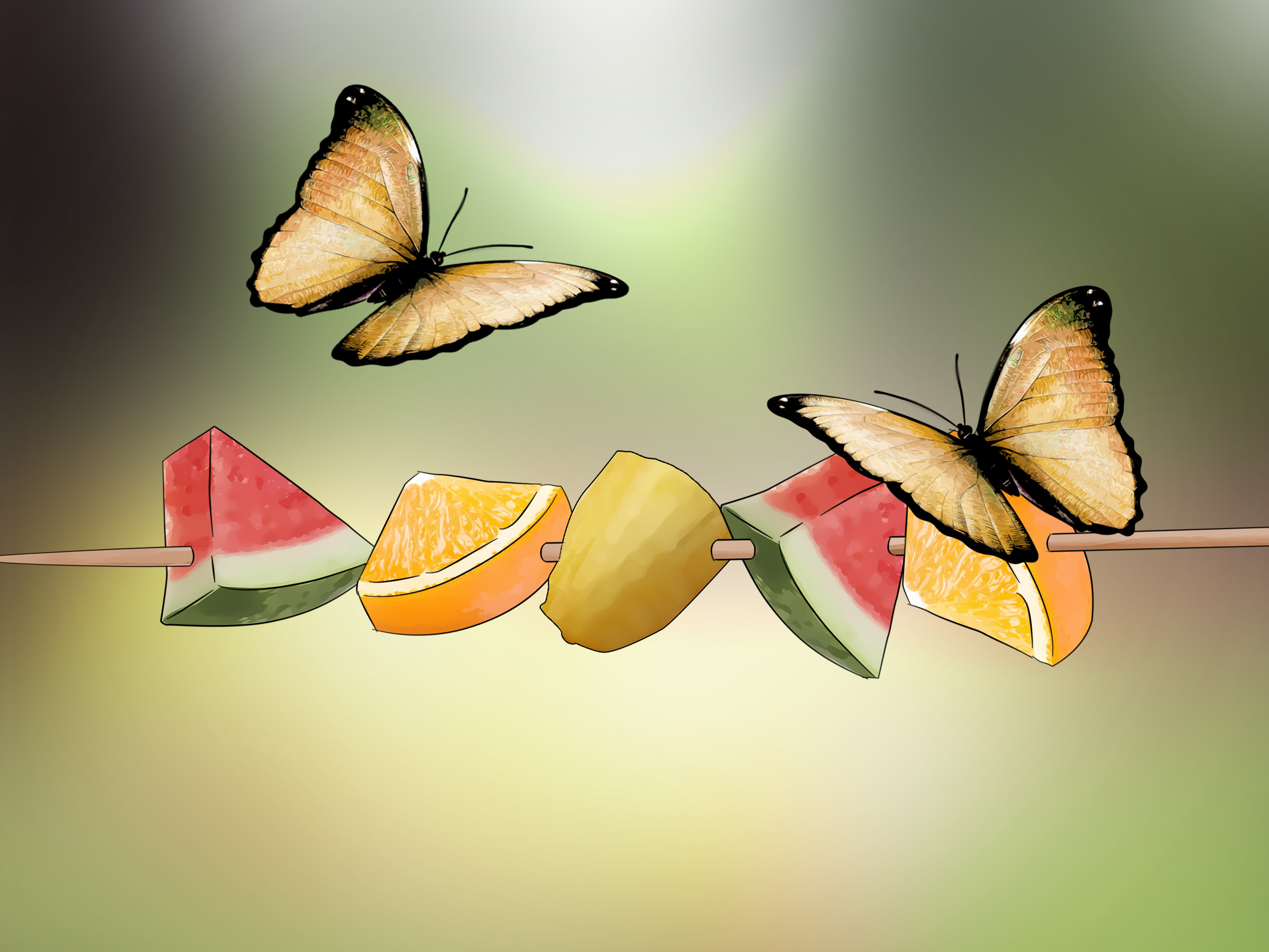 3 Ways to Feed Butterflies - wikiHow
