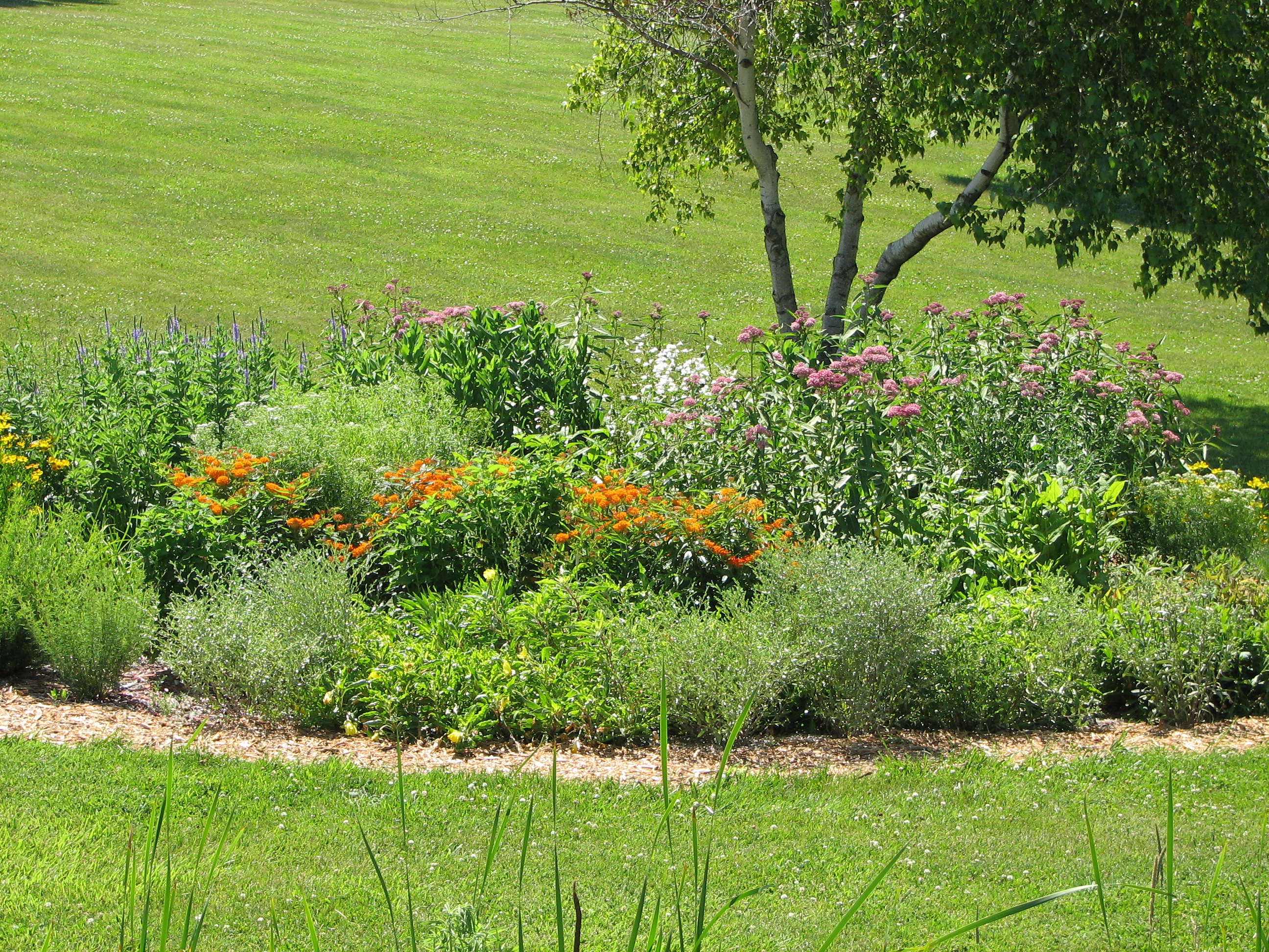 Designing a Native Plant Butterfly Garden – Iowa County Conservation