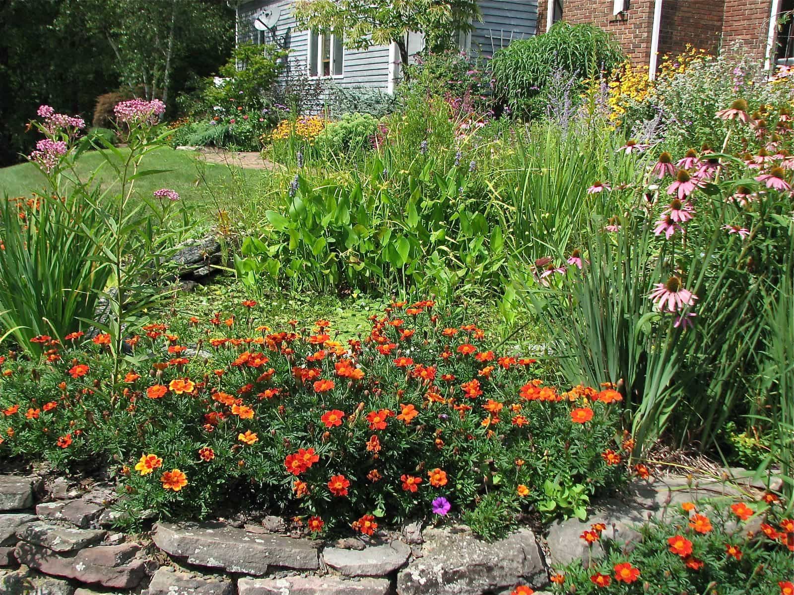 Backyard Butterfly Garden With Stone Border - The Wonderful ...