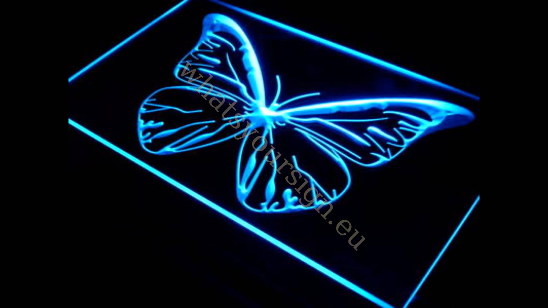 Butterfly - LED neon light sign display - YouTube