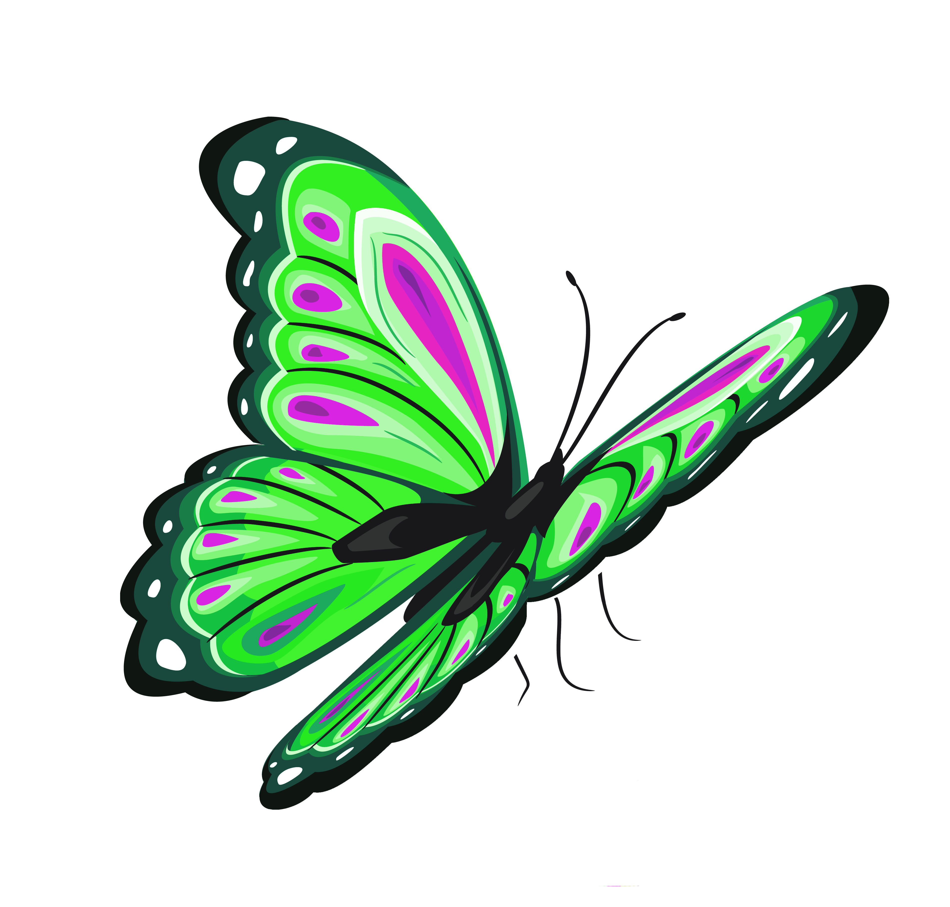 Green and Pink Butterfly PNG Clipart Picture | Gallery Yopriceville ...