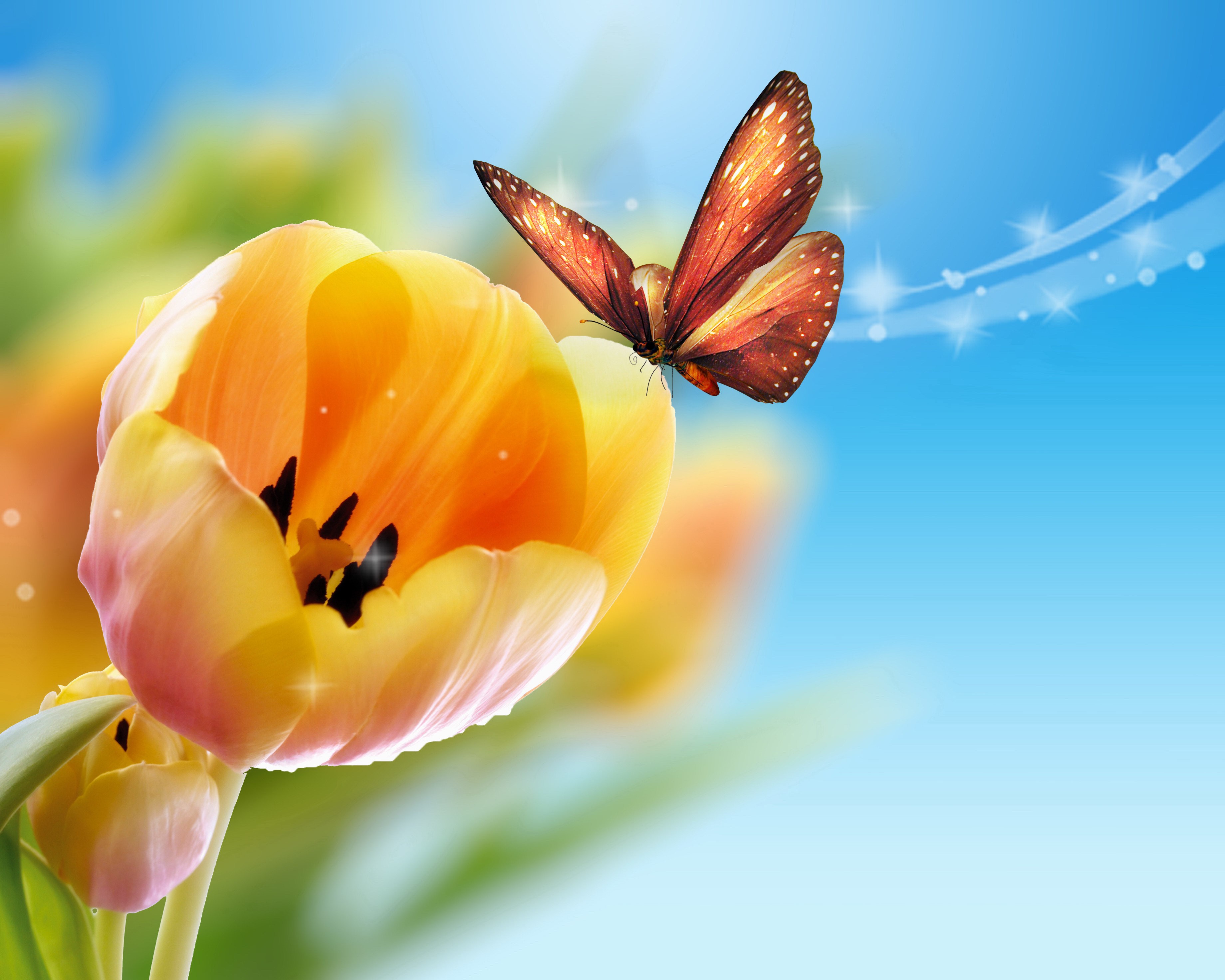 Flower: Tulips Flowers Butterfly Spring Time Nature Tulip Beauty ...