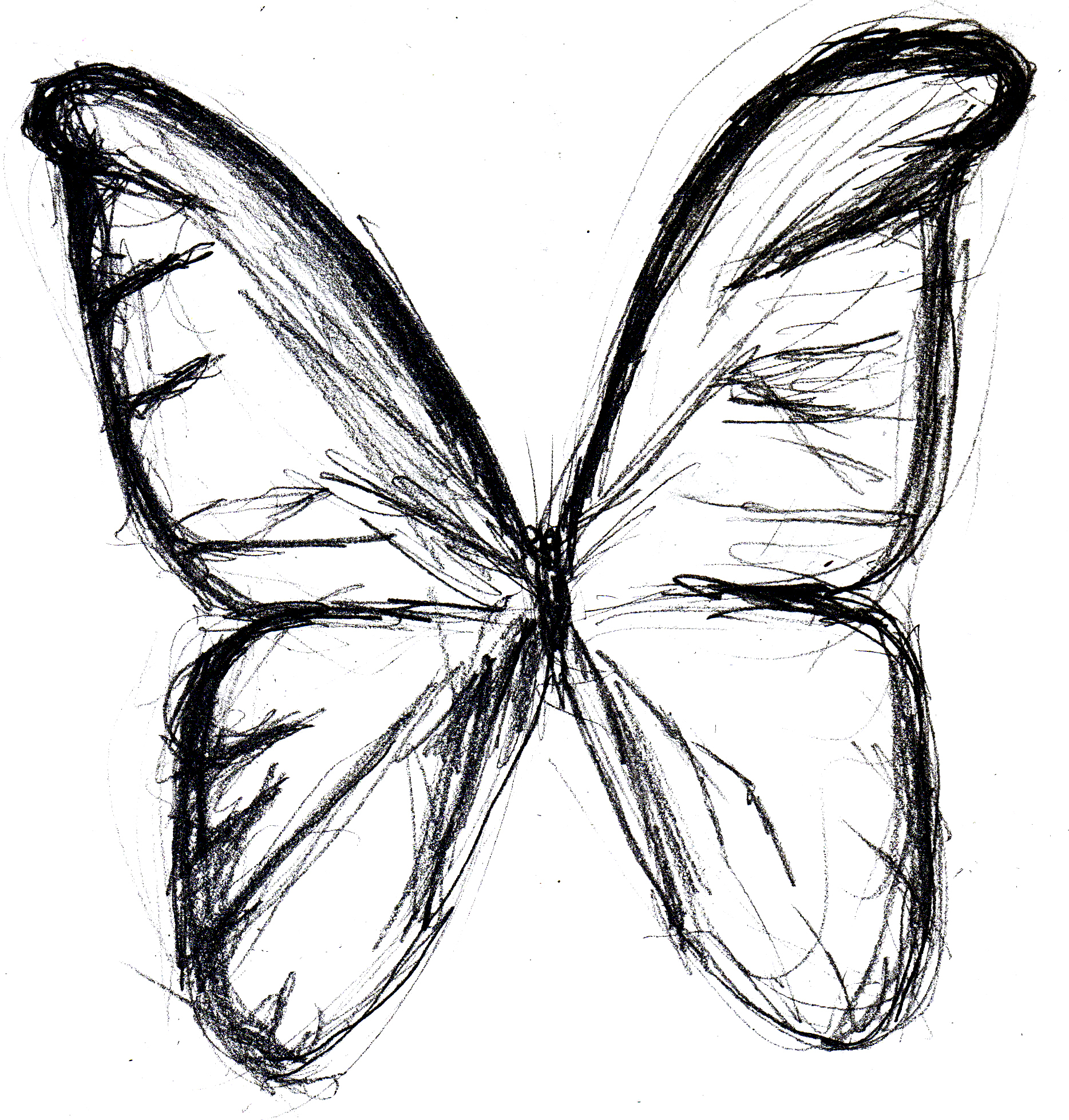 Butterfly sketch photo
