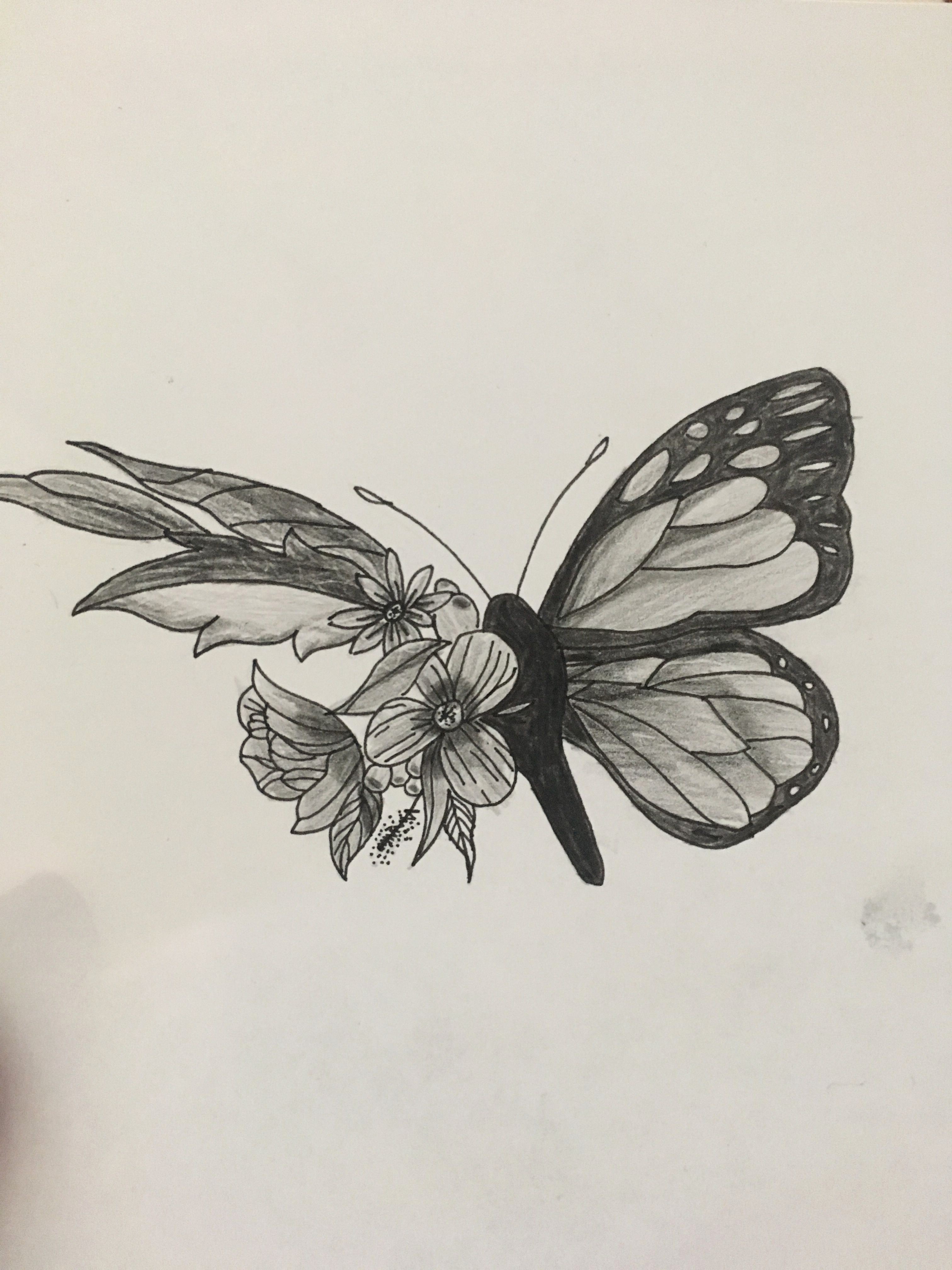 Butterfly sketch color elegant butterfly sketch main pinterest - www ...