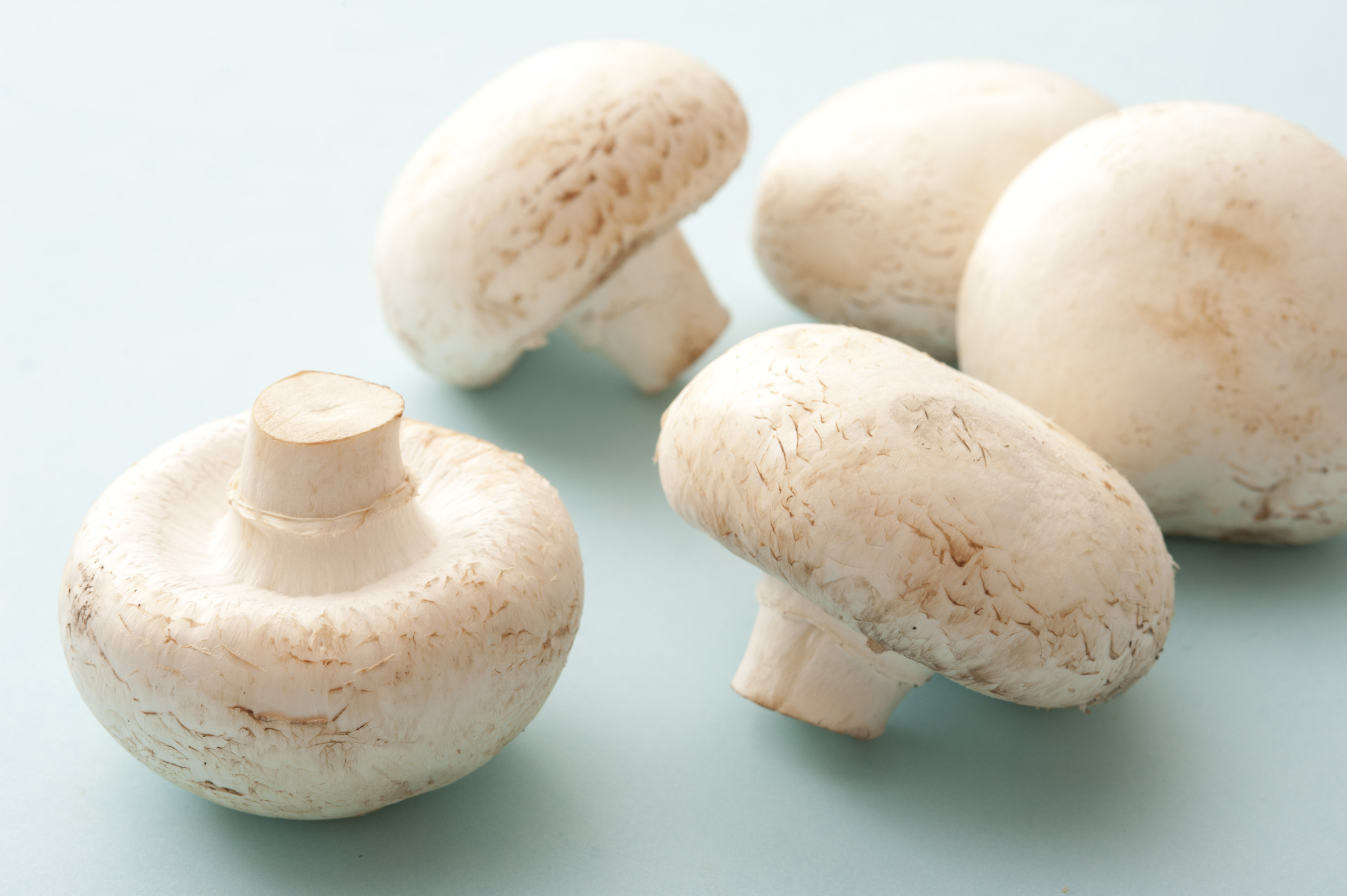 Fresh raw white button mushrooms - Free Stock Image