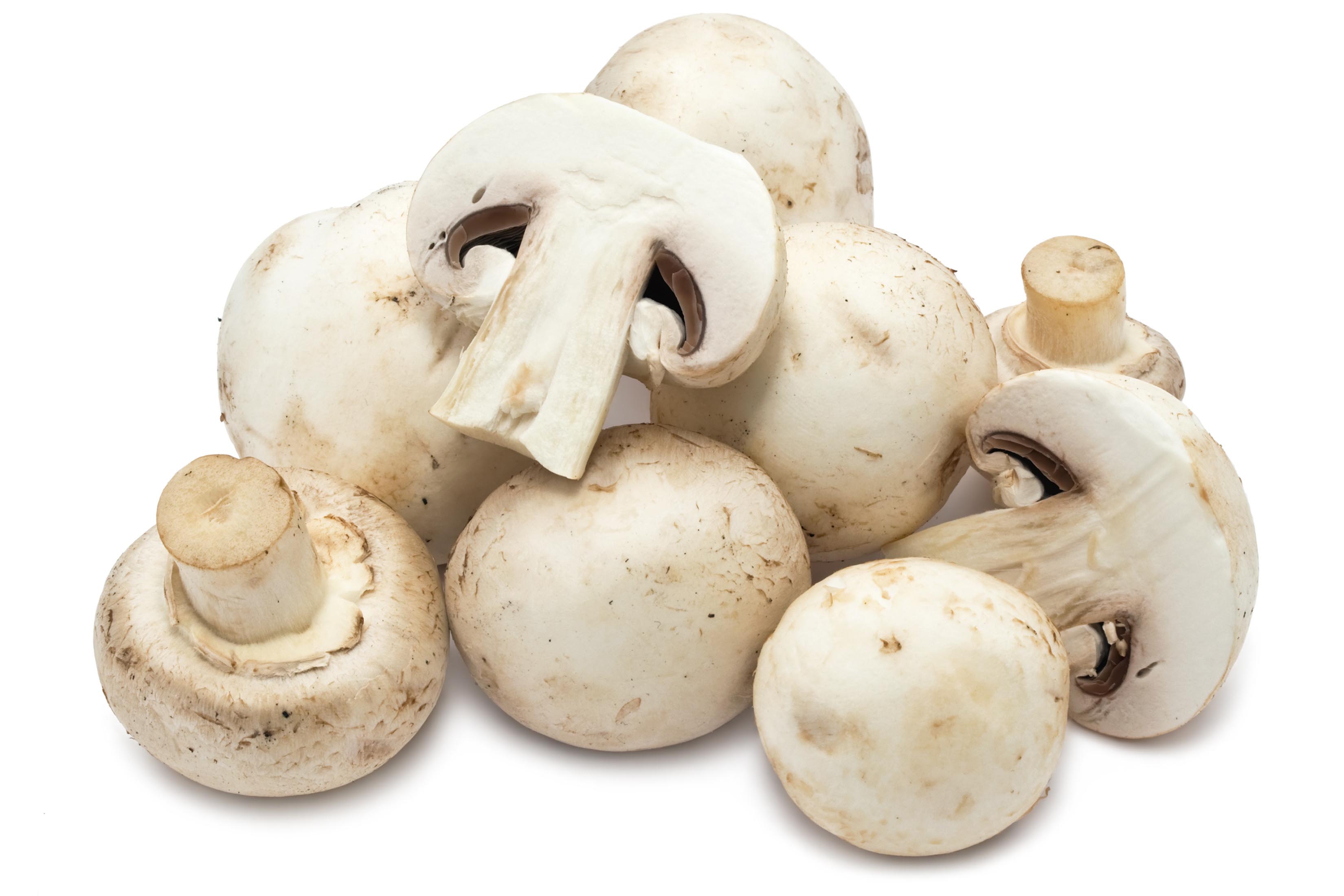 Champignon Mushrooms - ETHICA ONLINE