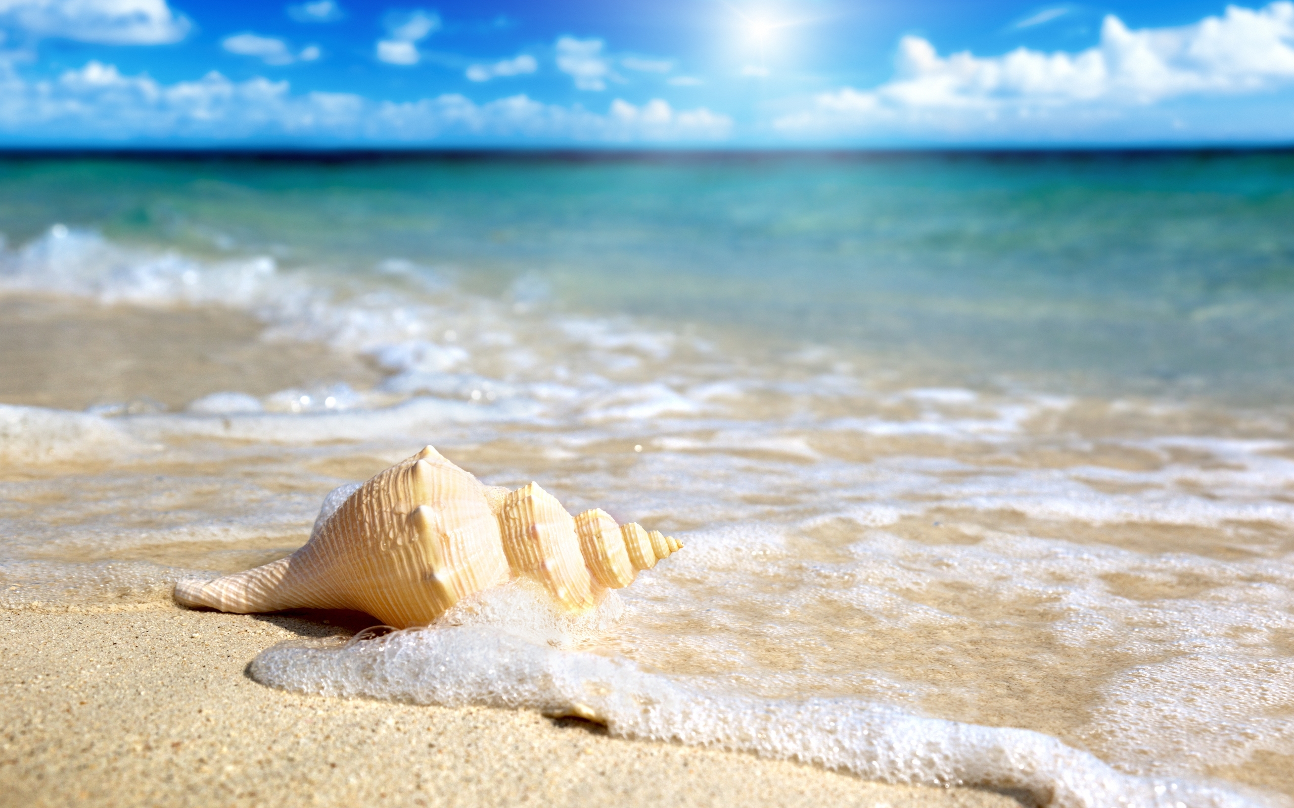 6 Tips To Having A Perfect Summer Beach Day
