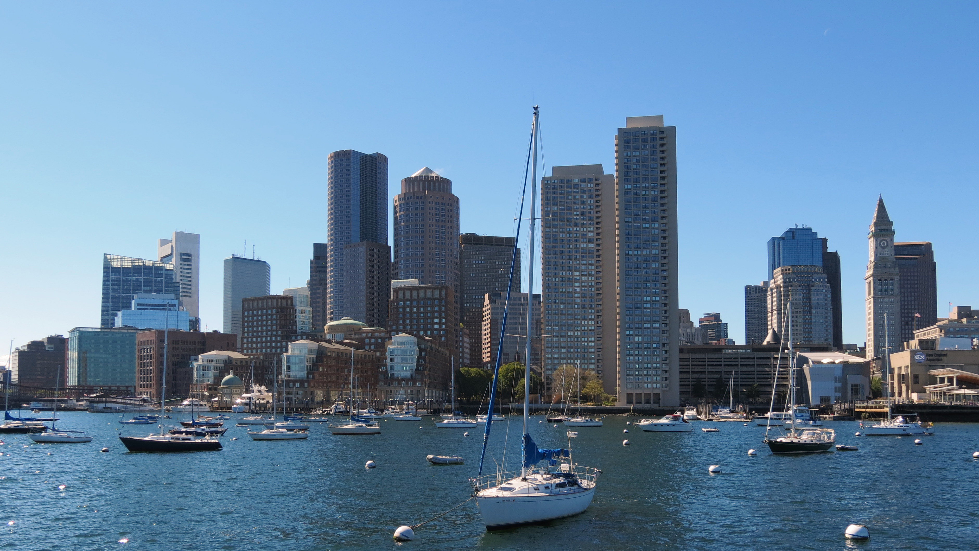 Boston by boat: harbor cruises, islands and whale watching