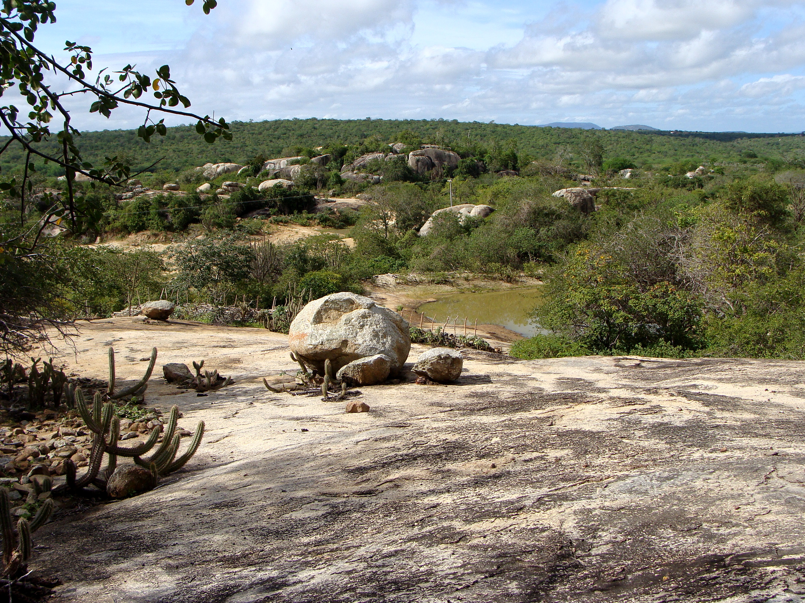 File:Paisagem da Caatinga Paraibana.JPG - Wikimedia Commons