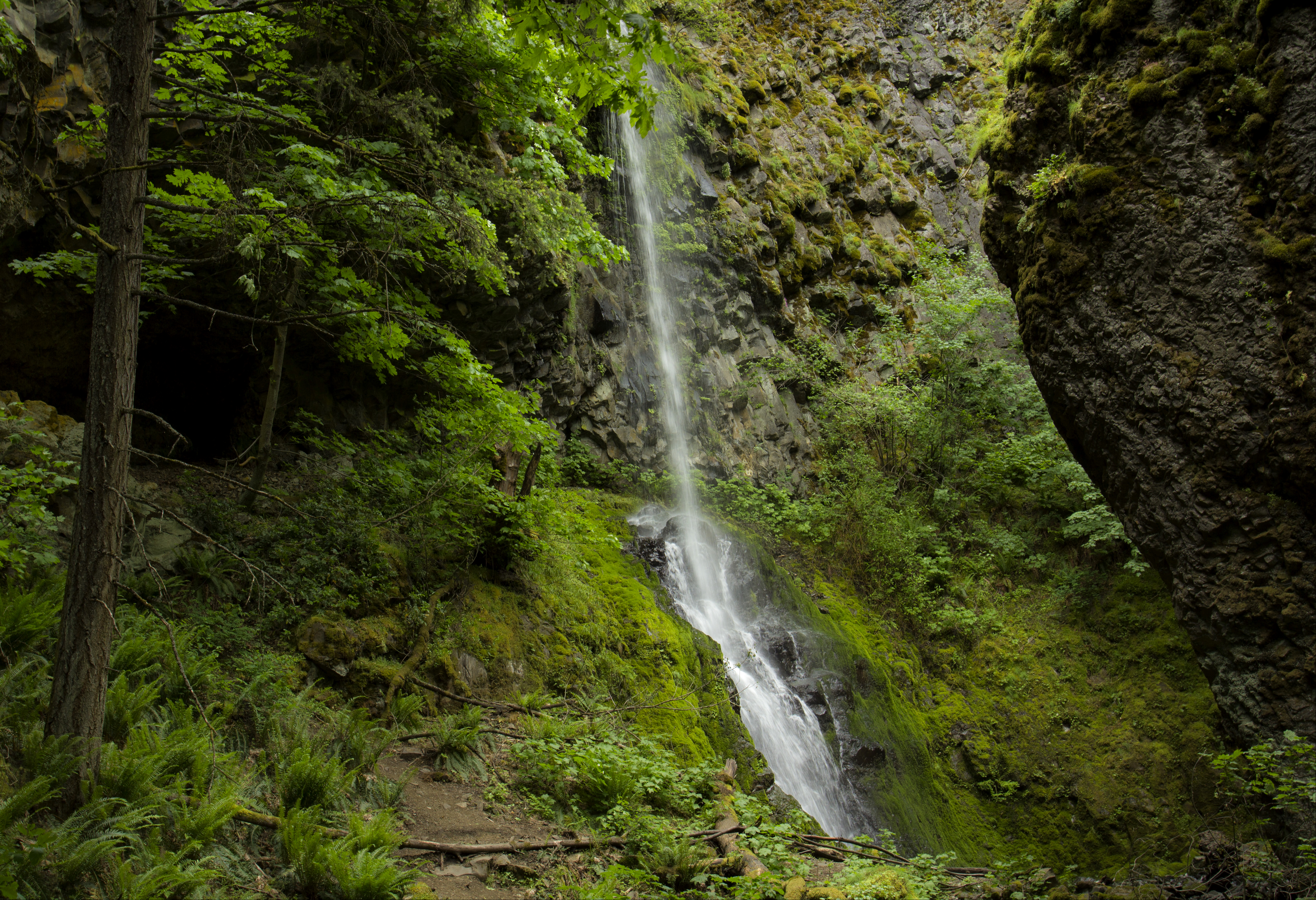 Cabin creek waterfall, oregon photo