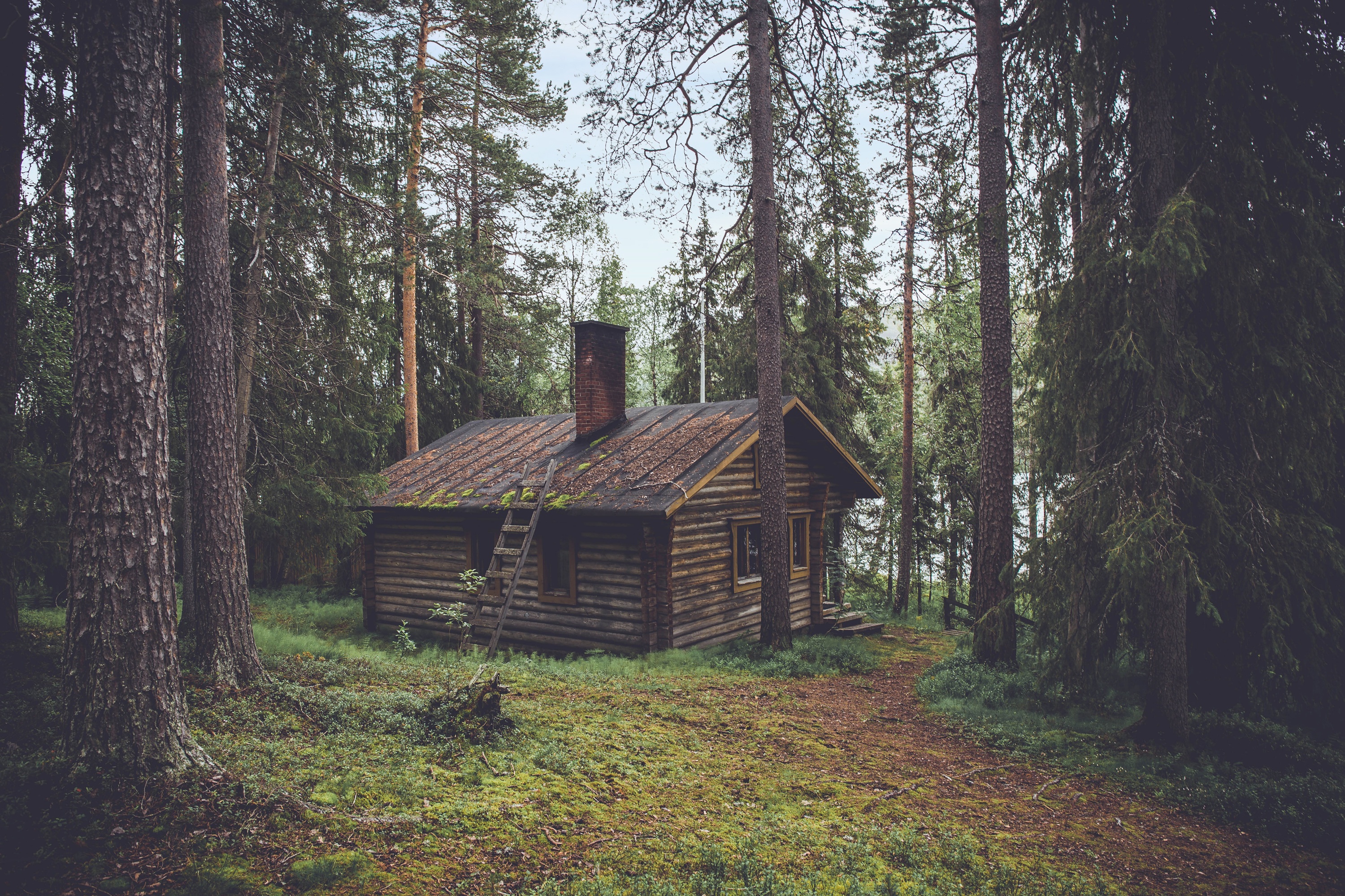 Cabin in the woods photo