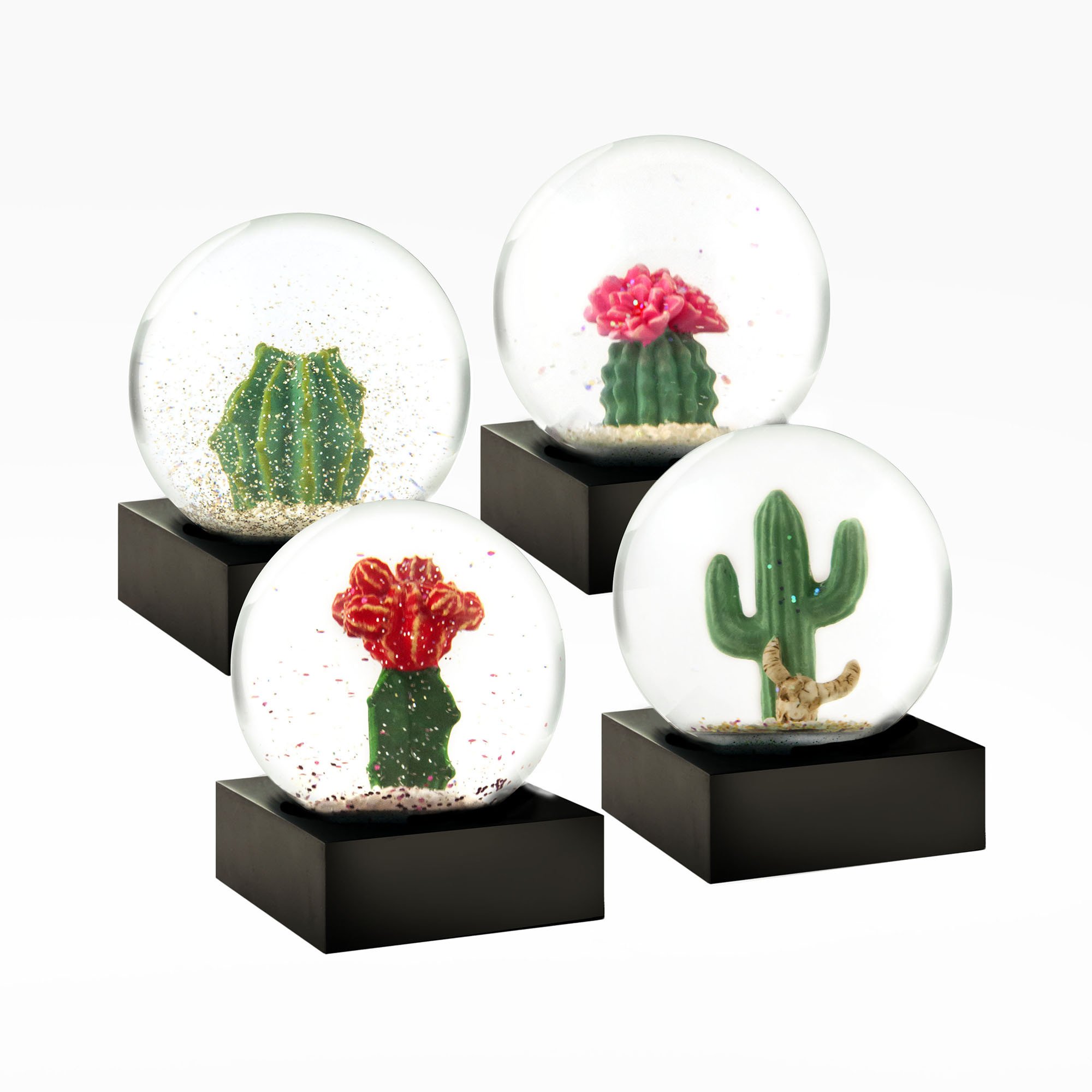 Mini Cactus Set of Four Snow Globes – CoolSnowGlobes